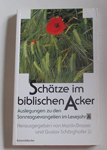 Schätze im biblischen Acker, Auslegungen zu den Sonntagsevangelien im Lesejahr A: Hilfen zur Auslegung der Sonntagsevangelien / Lesejahr A Religion & Esotericism