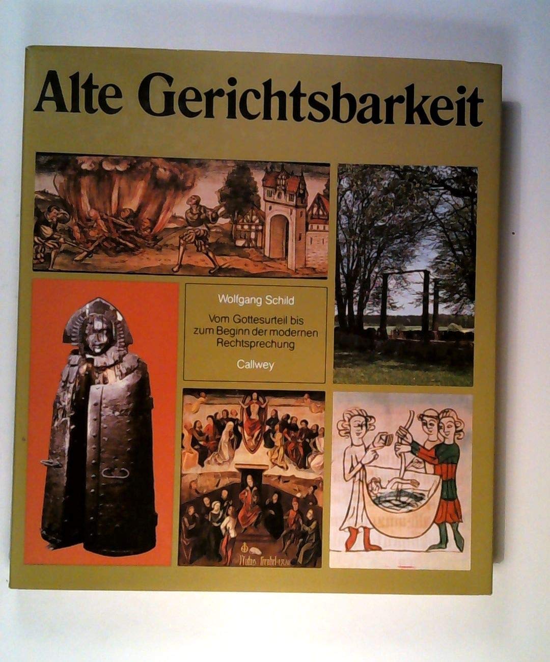 Alte Gerichtsbarkeit. Vom Gottesurteil bis zum Beginn der modernen Rechtssprechung. Books