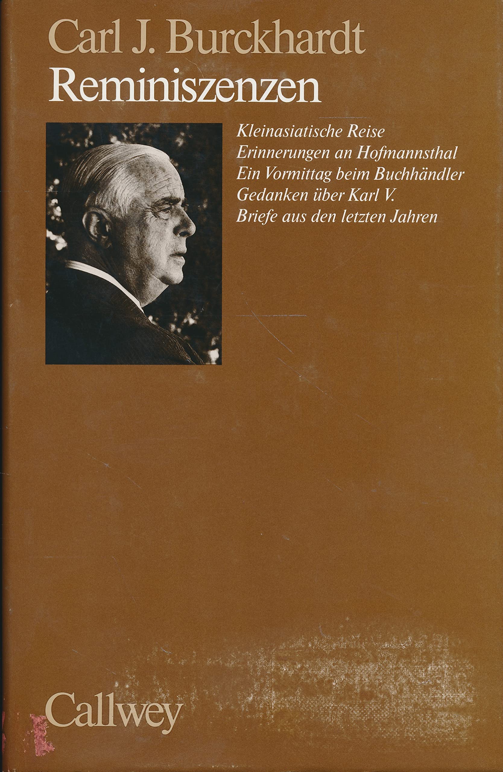 Reminiszenzen: Kleinasiatische Reise / Erinnerungen an Hofmannsthal / Ein Vormittag beim Buchhändler / Gedanken über Karl V. / Briefe aus den letzten Jahren Politics & Society Books