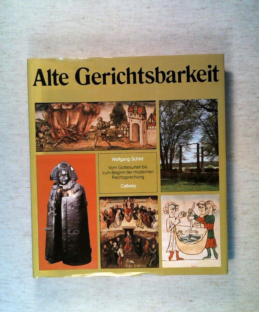 Alte Gerichtsbarkeit: Vom Gottesurteil bis zum Beginn der modernen Rechtsprechung Law