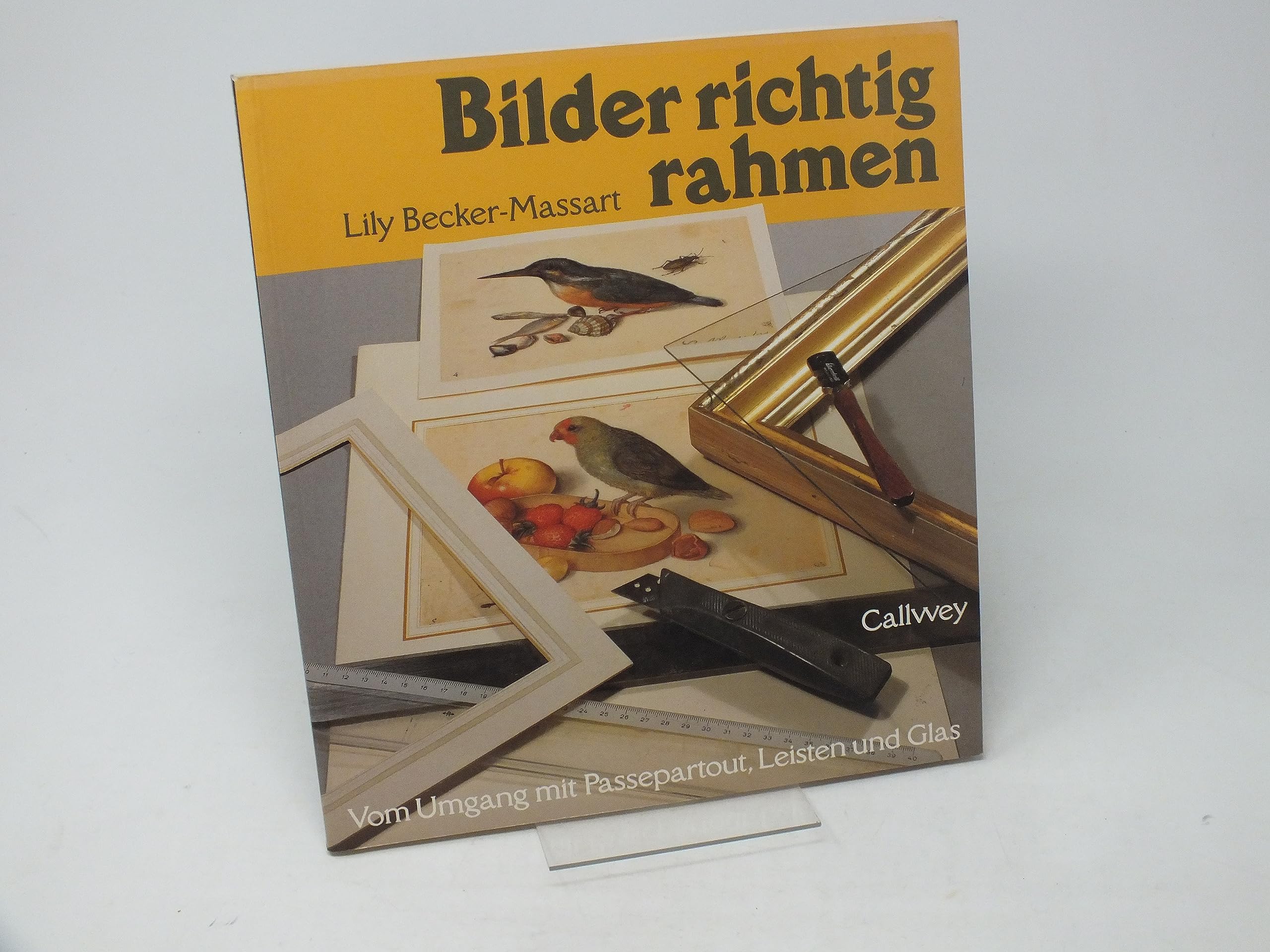 Bilder richtig rahmen: Vom Umgang mit Passepartouts, Leisten und Glas (Callwey Creativ) Hobbies & Crafts