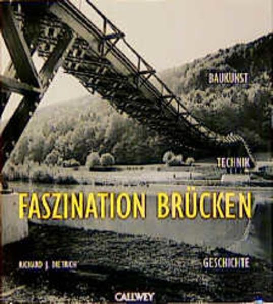 Faszination Brücken: Baukunst, Technik, Geschichte Architecture