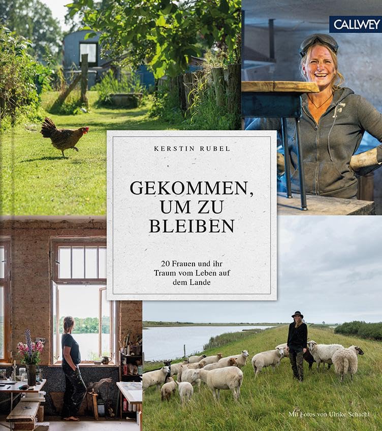 Gekommen, um zu bleiben Business, Finance & Career