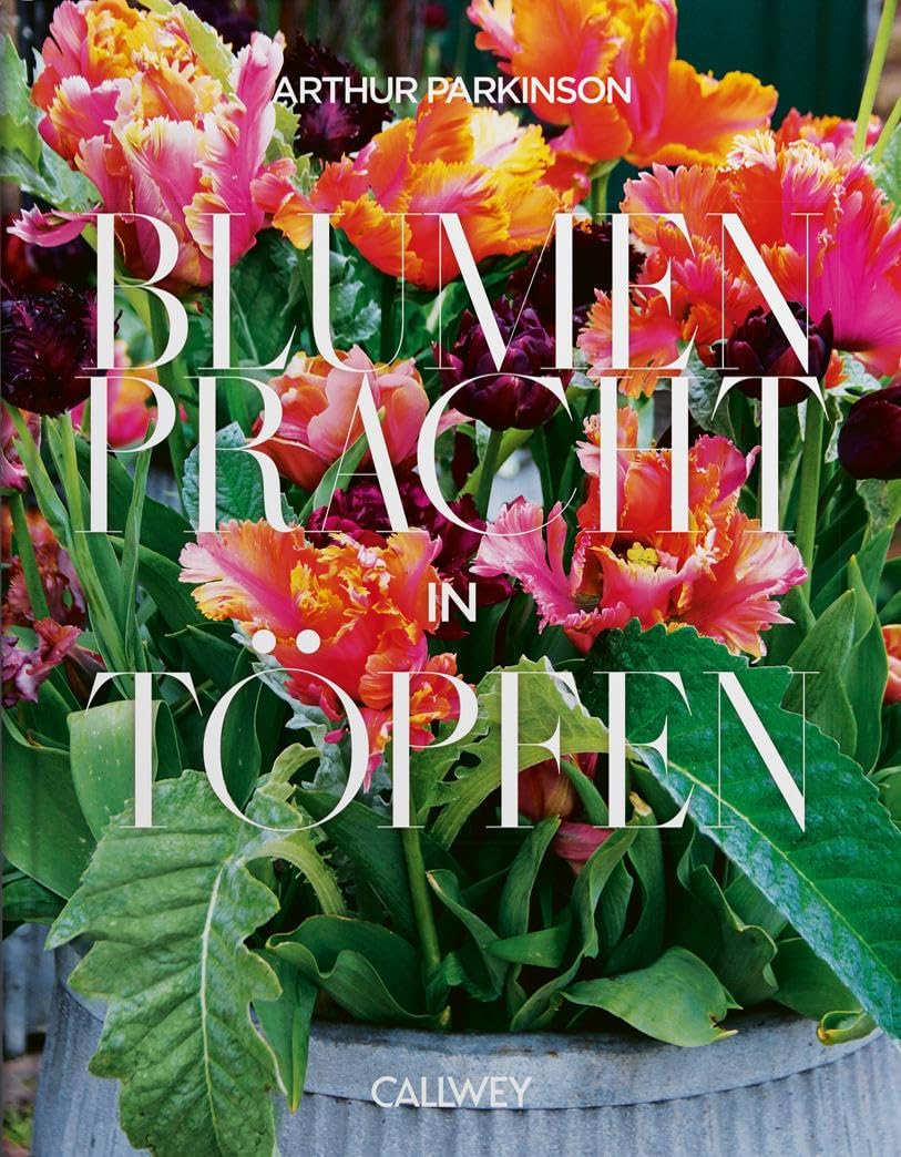 Blumenpracht in Töpfen Film, Art & Culture