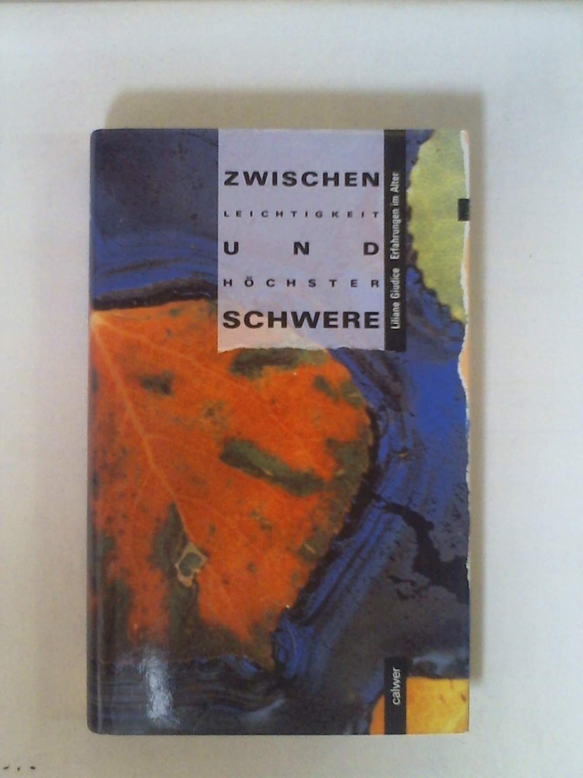 Zwischen Leichtigkeit und höchster Schwere Contemporary literature