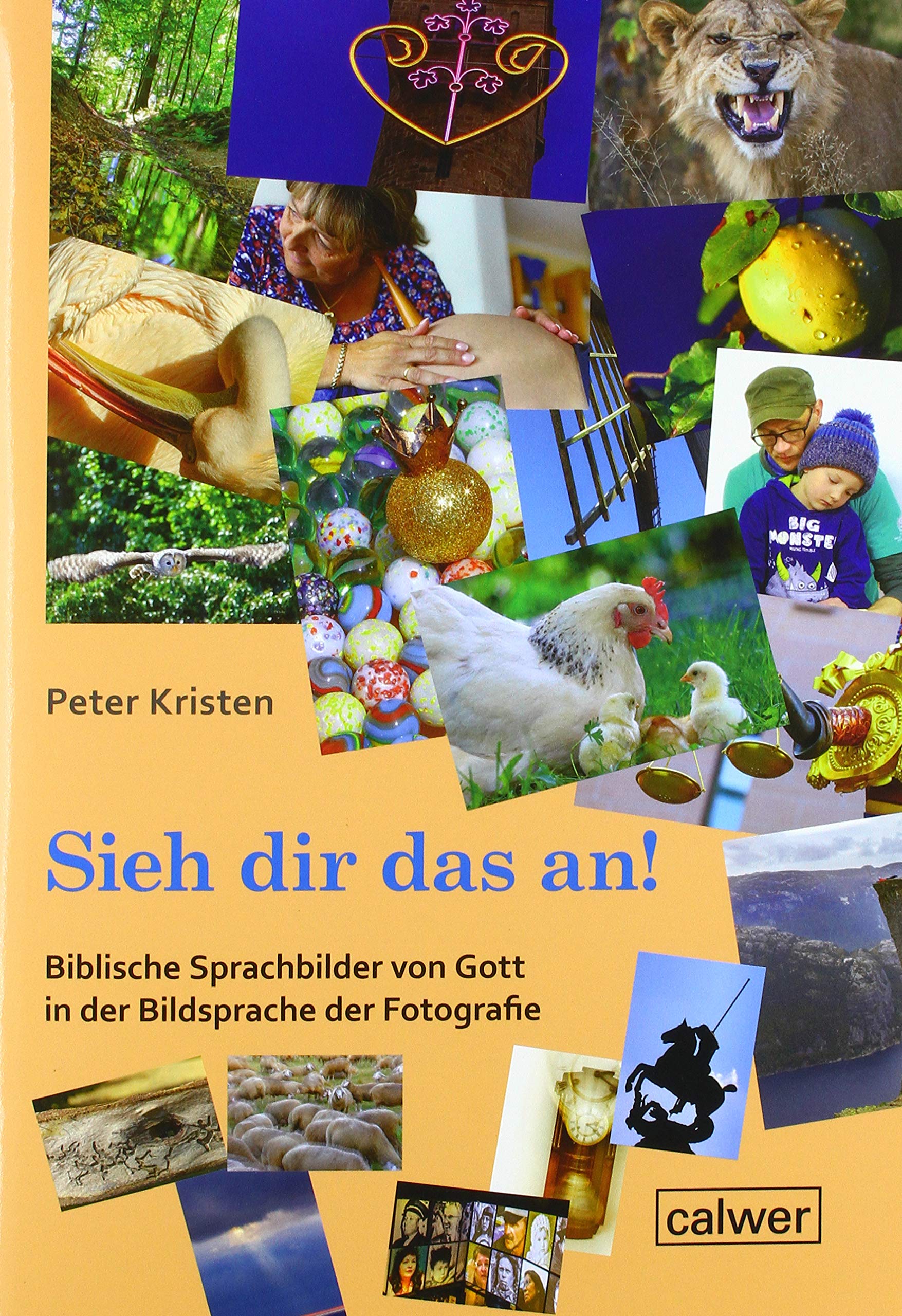 "Sieh dir das an!": Biblische Sprachbilder von Gott in der Bildsprache der Fotografie book