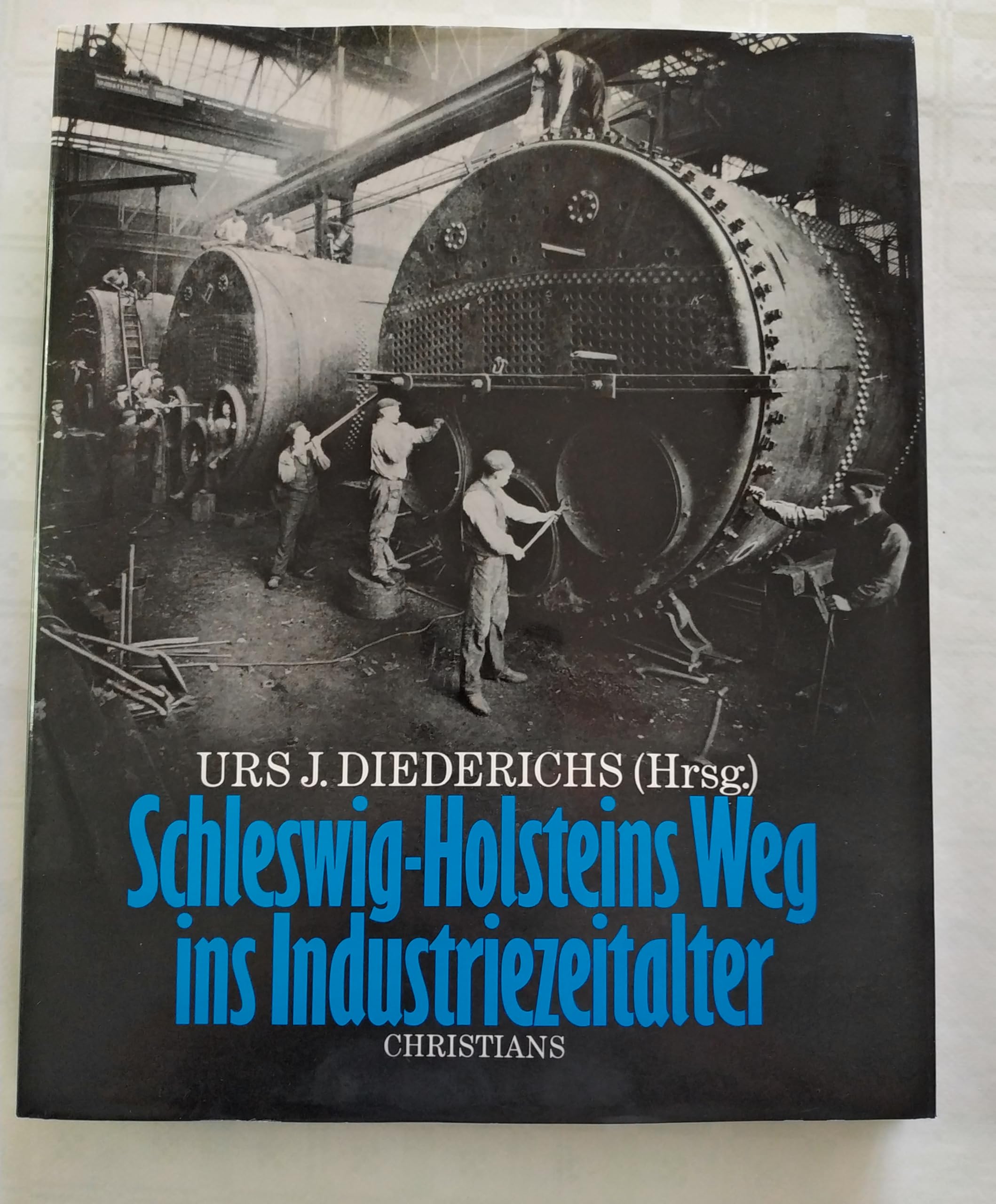 Schleswig- Holsteins Weg ins Industriezeitalter Books