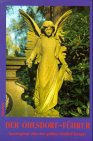 Der Ohlsdorf-Führer: Spaziergänge über den grössten Friedhof Europas Film, Art & Culture