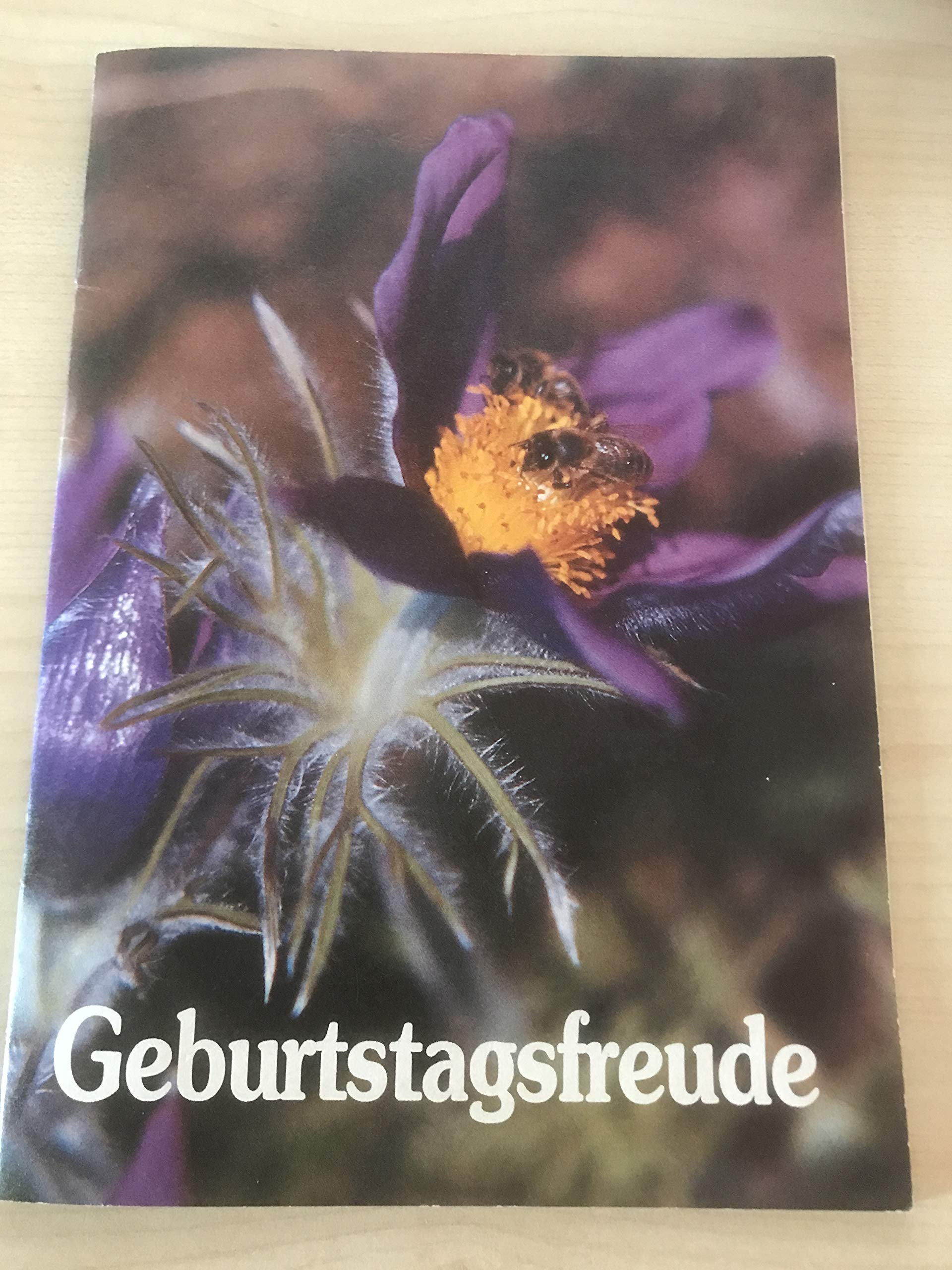 Geburtstagsfreude Folge 7 Lifestyle