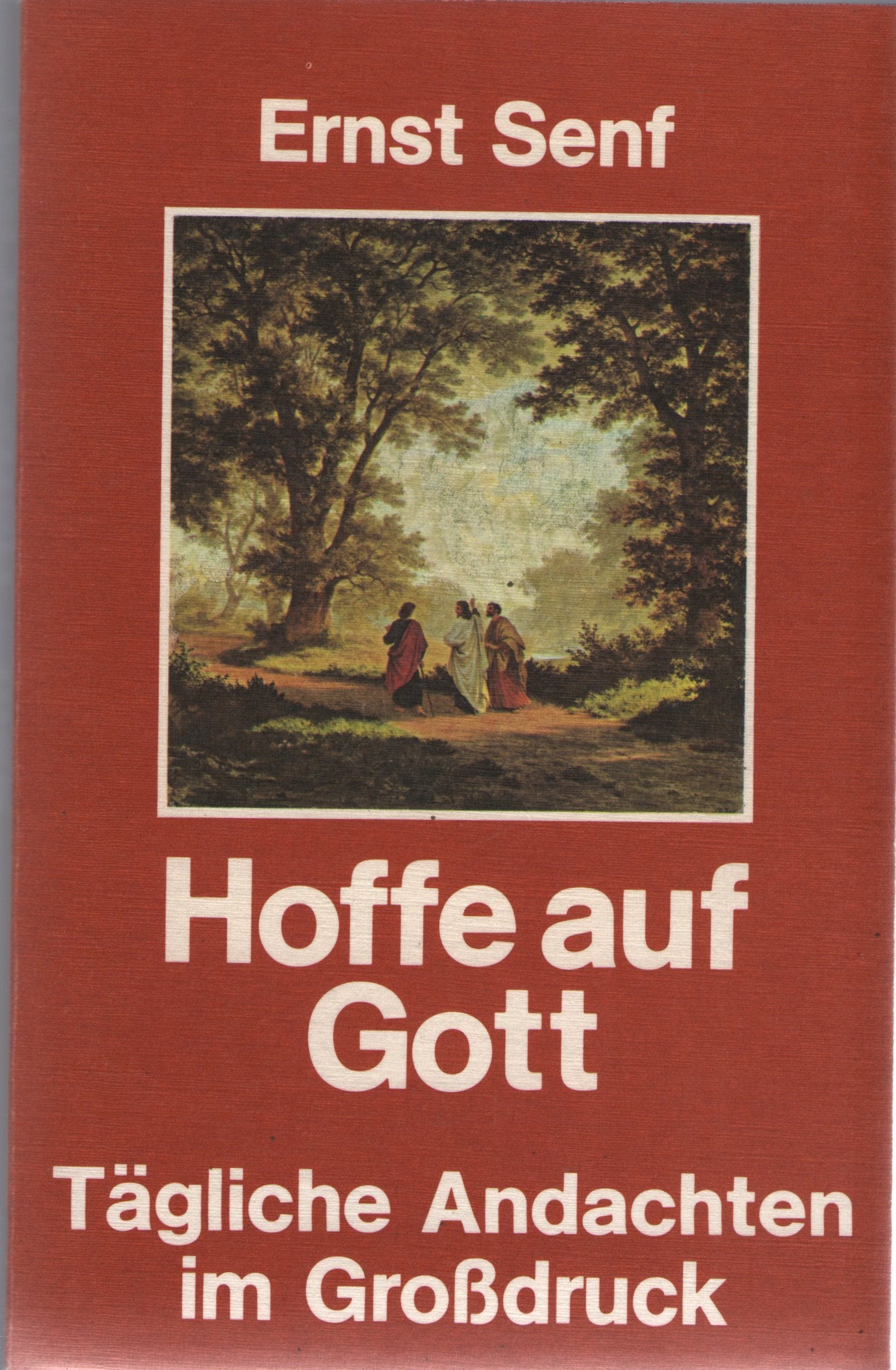 Hoffe auf Gott. Tägliche Andachten im Grossdruck Religion & Esotericism