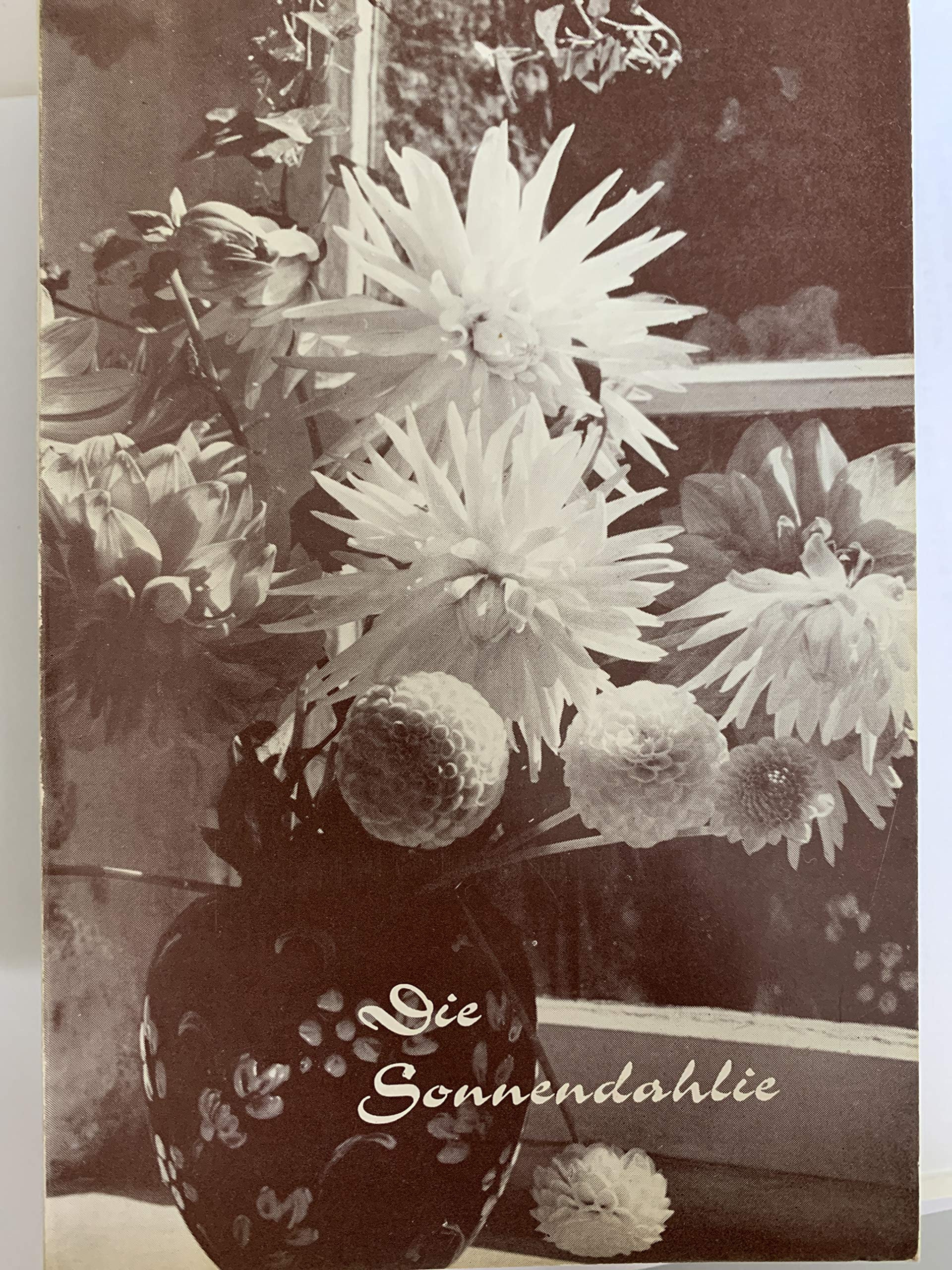 Die Sonnendahlie. Books