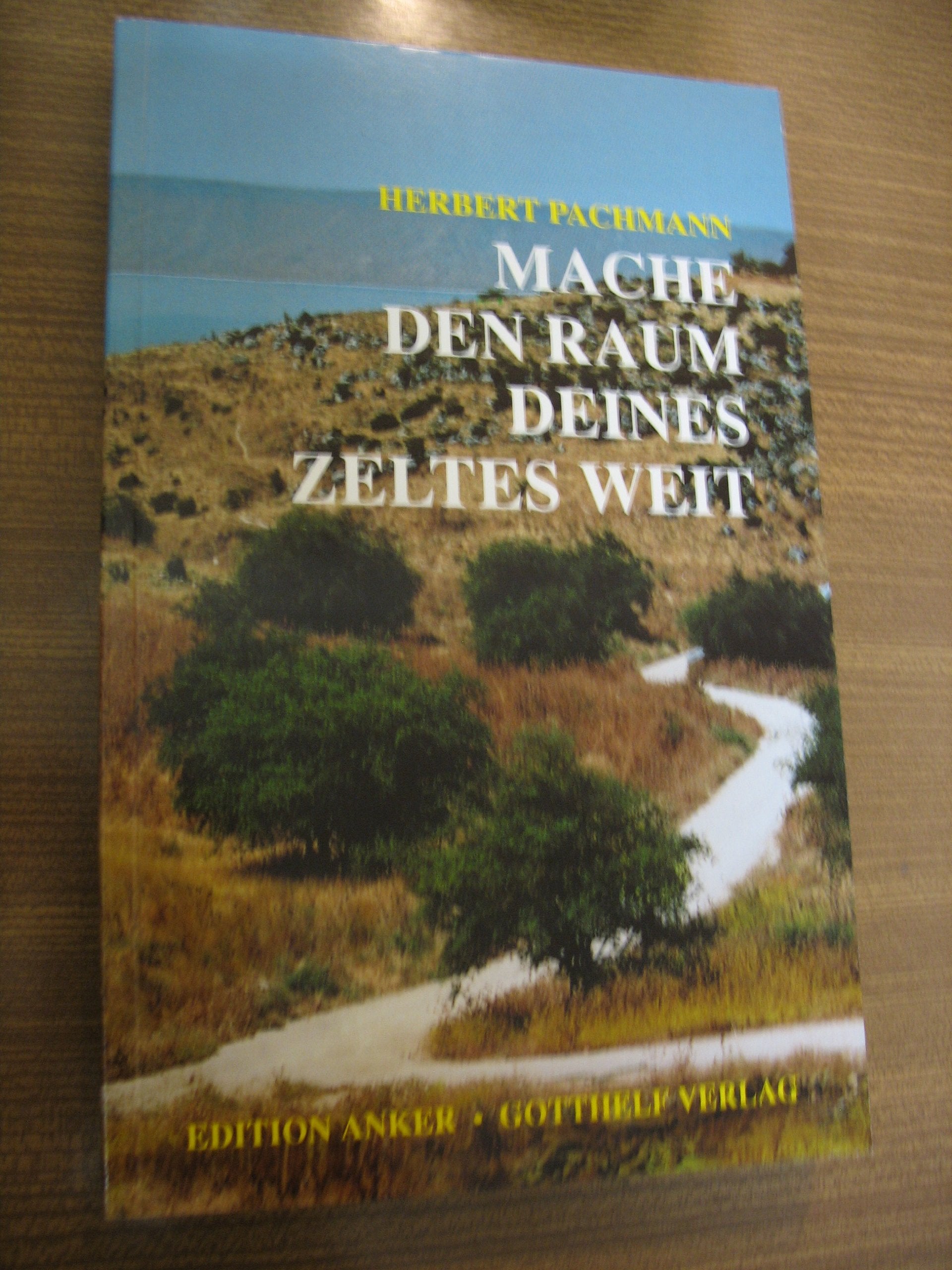 Mache den Raum deines Zeltes weit. Orientierungen zum Christsein Books