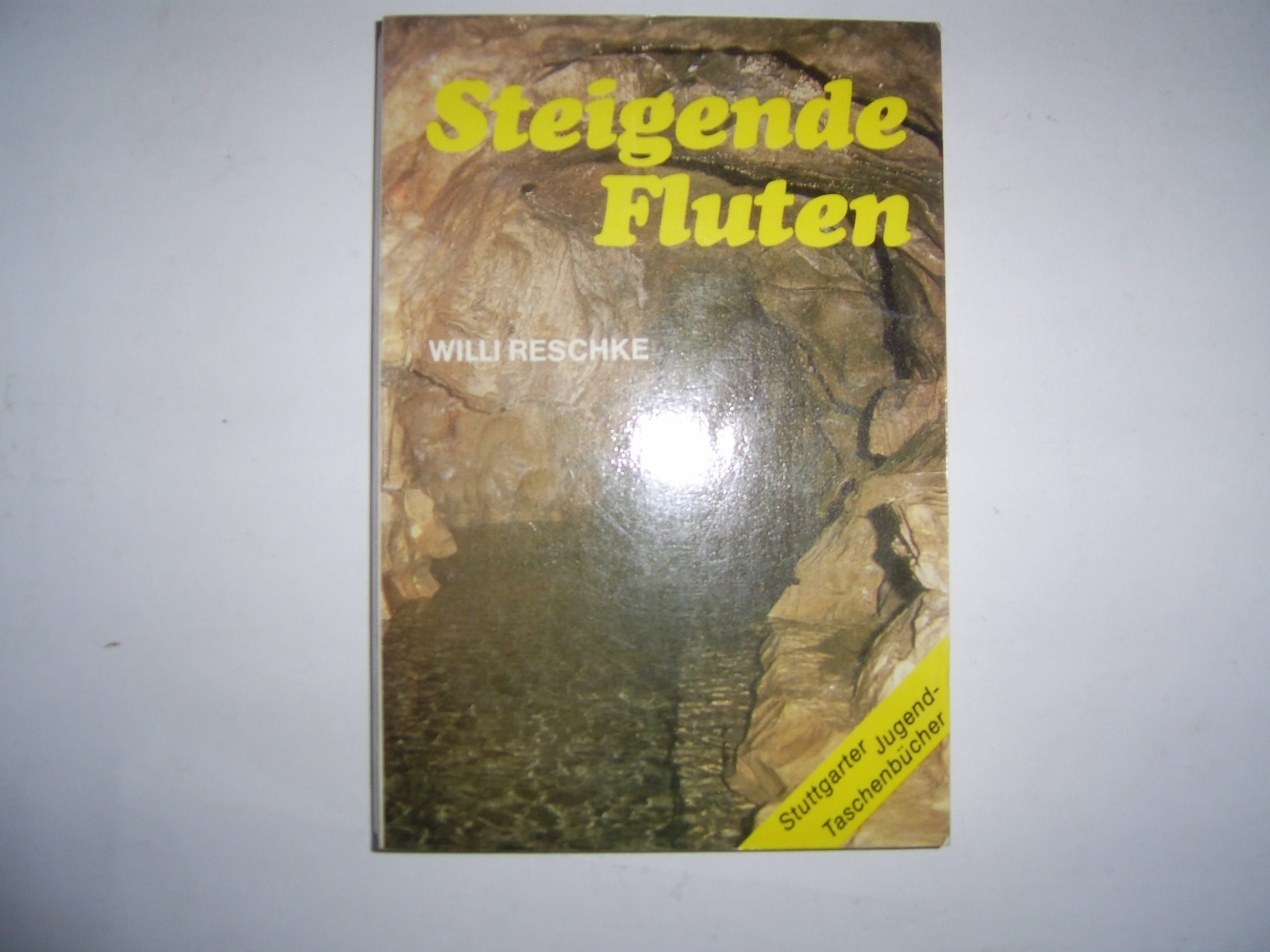 Steigende Fluten Books
