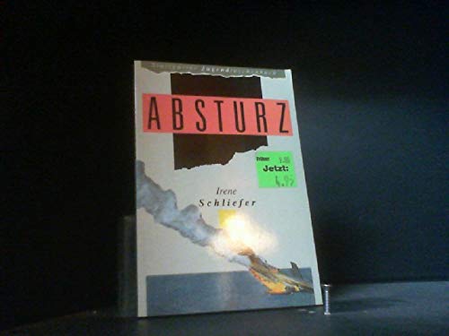 Absturz Professional & Reference Books