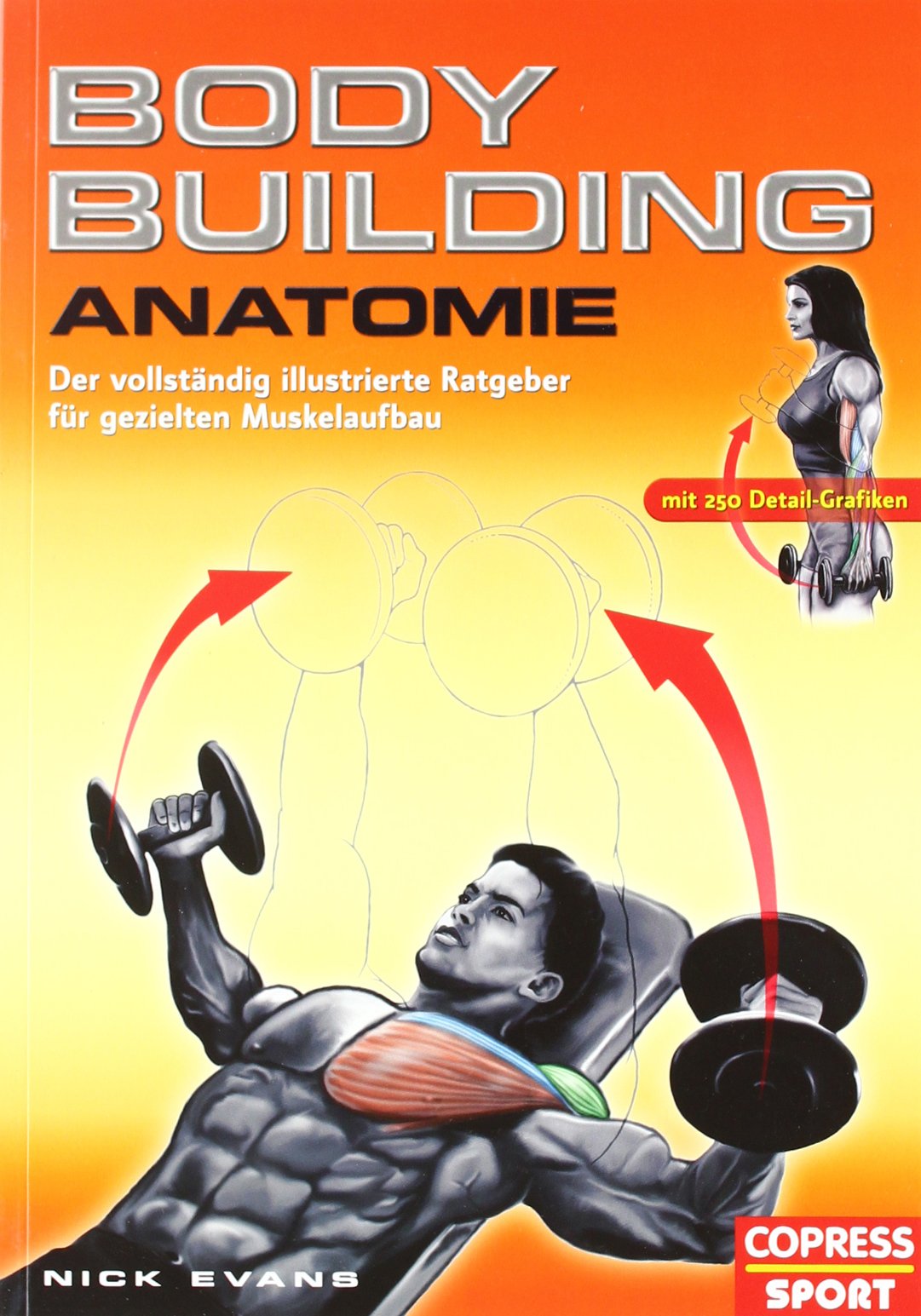 Bodybuilding Anatomie: Der vollständig illustrierte Ratgeber für gezielten Muskelaufbau Medicine