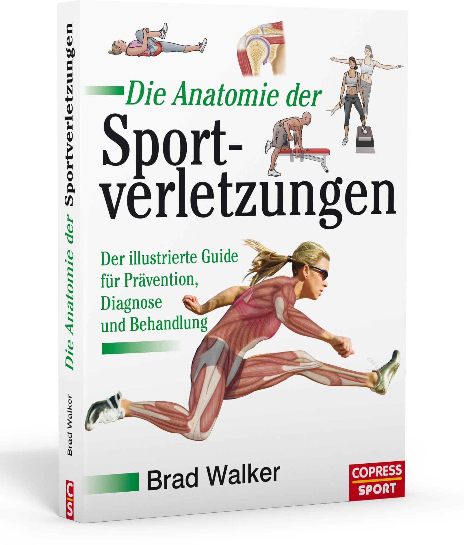 Die Anatomie der Sportverletzungen Reference Books