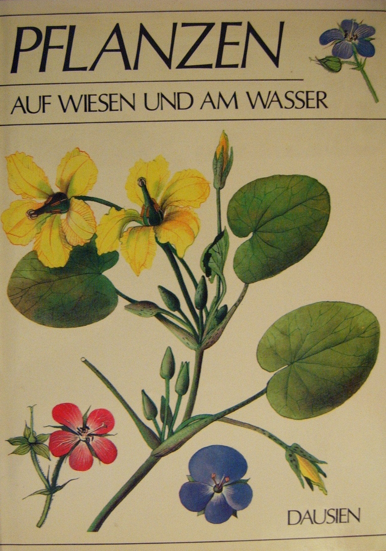Pflanzen auf Wiesen und am Wasser Leisure, Home & Garden