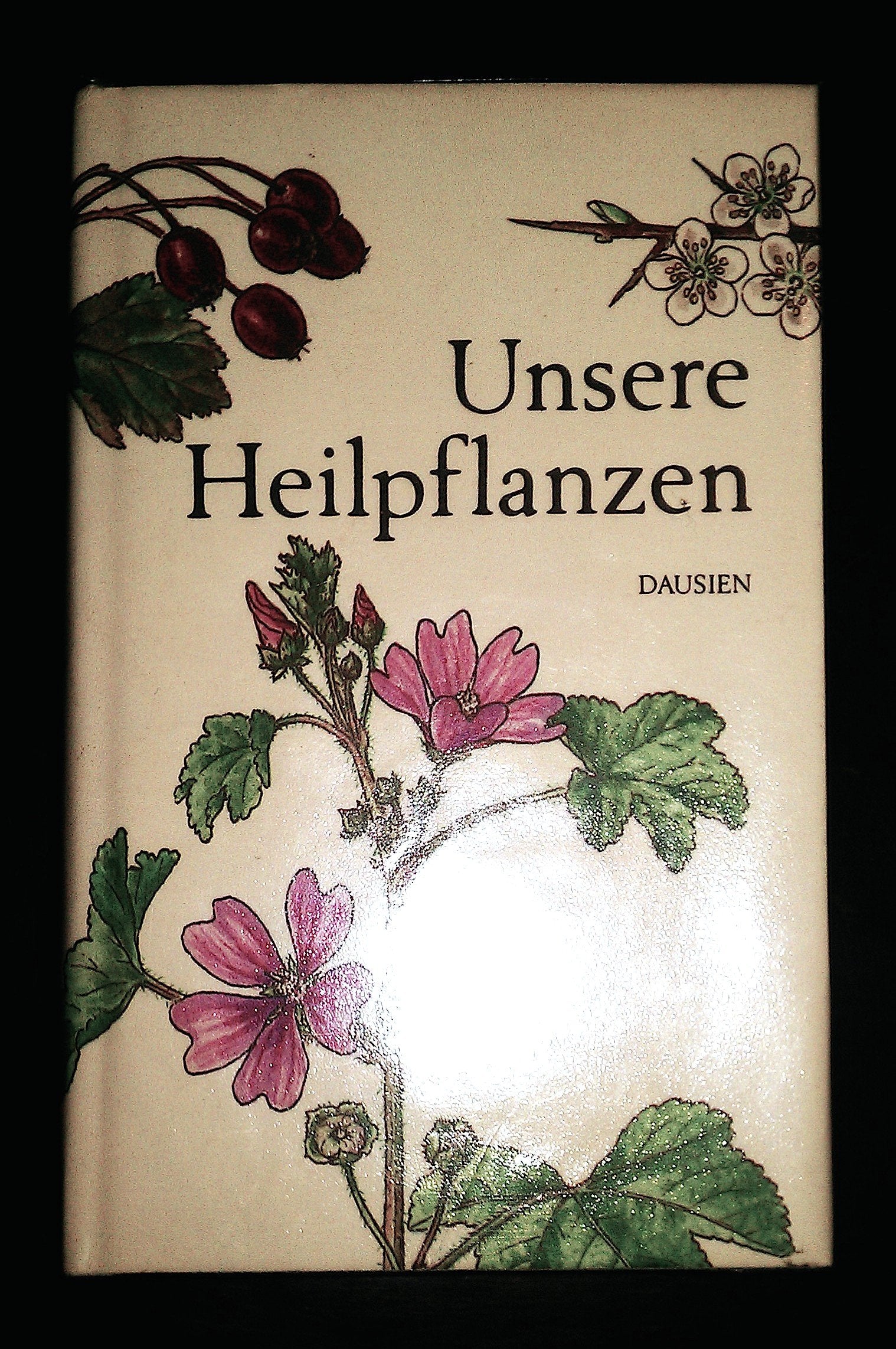 Unsere Heilpflanzen Health, Nutrition & Fitness