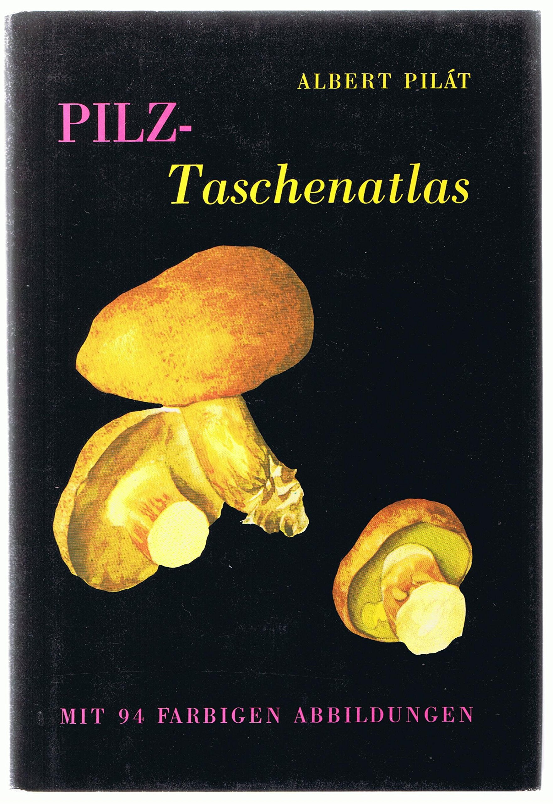 Pilz - Taschenatlas Business & Technology Books