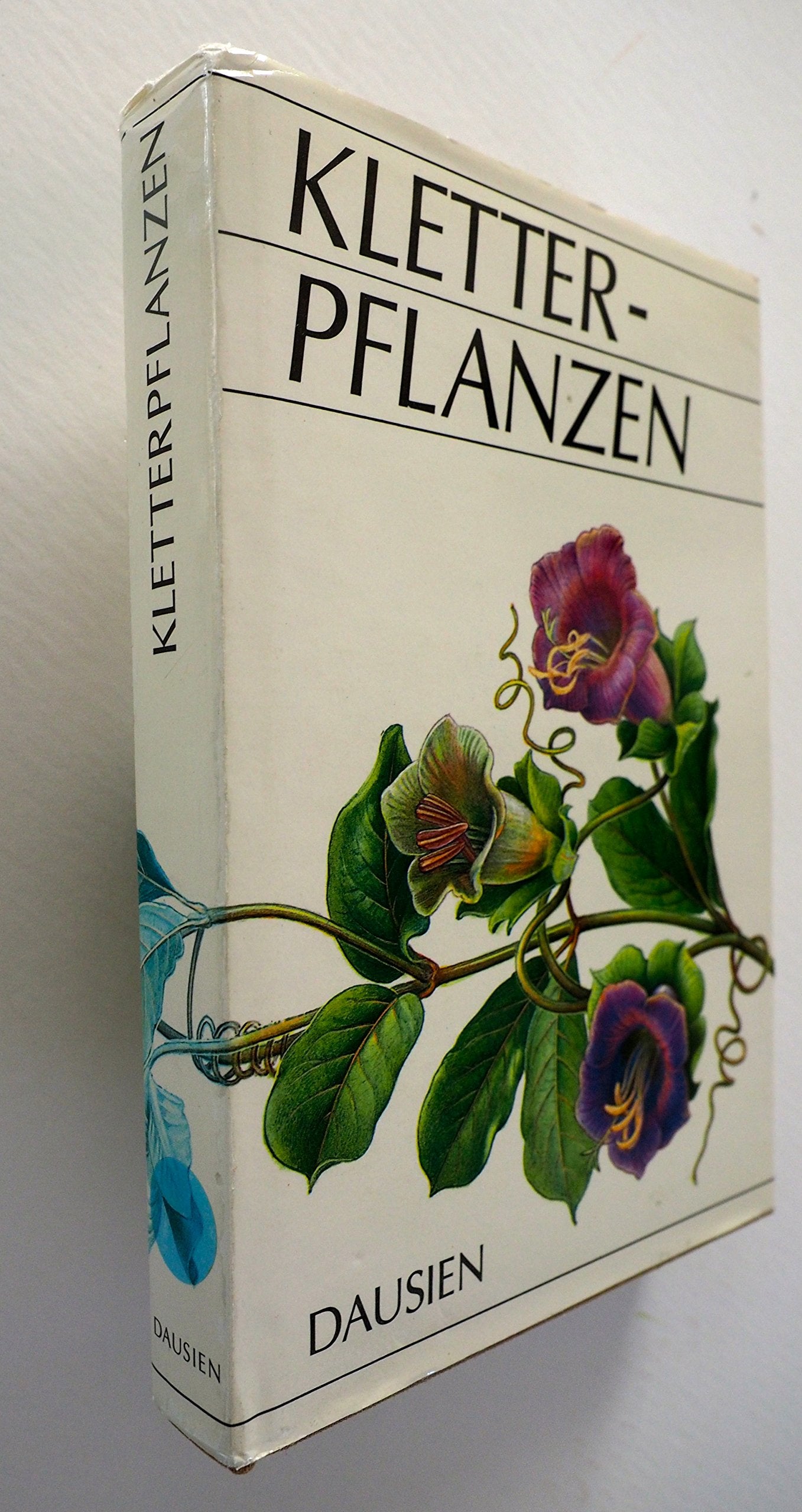 Kletterpflanzen und rankende Pflanzen Leisure, Home & Garden