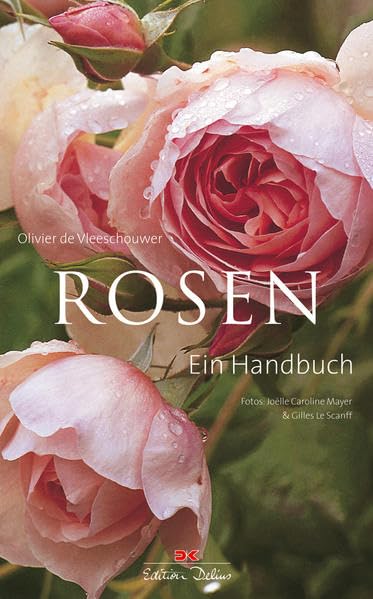 Rosen Garden & Plants