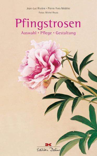 Pfingstrosen: Auswahl • Pflege • Gestaltung Film, Art & Culture