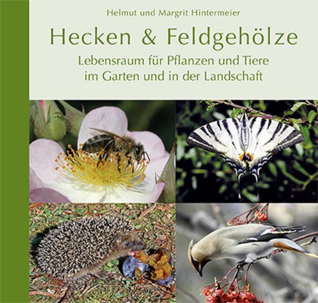 Hecken & Feldgehölze: Lebensraum für Pflanzen und Tiere im Garten und in der Landschaft Natural Sciences