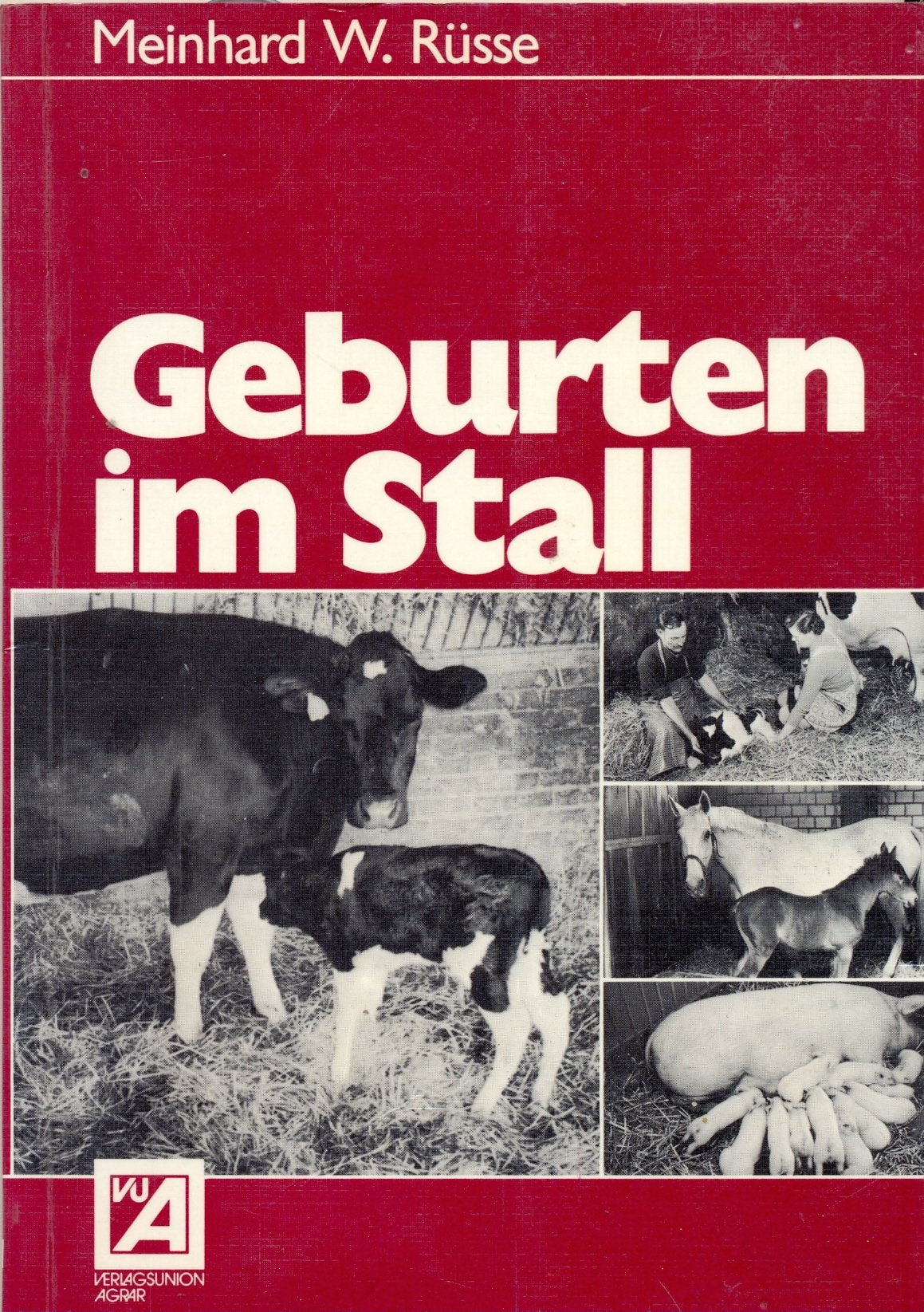 Geburten im Stall Books