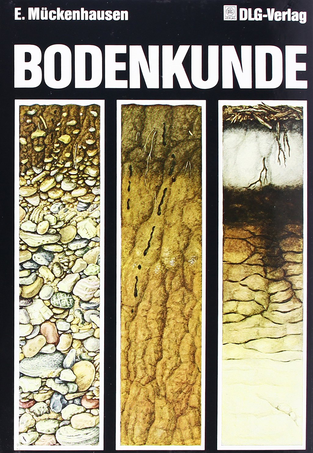 Die Bodenkunde und ihre geologischen, geomorphologischen und petrologischen Grundlagen Business & Technology