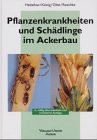 Pflanzenkrankheiten und Schädlinge im Ackerbau Medicine Books