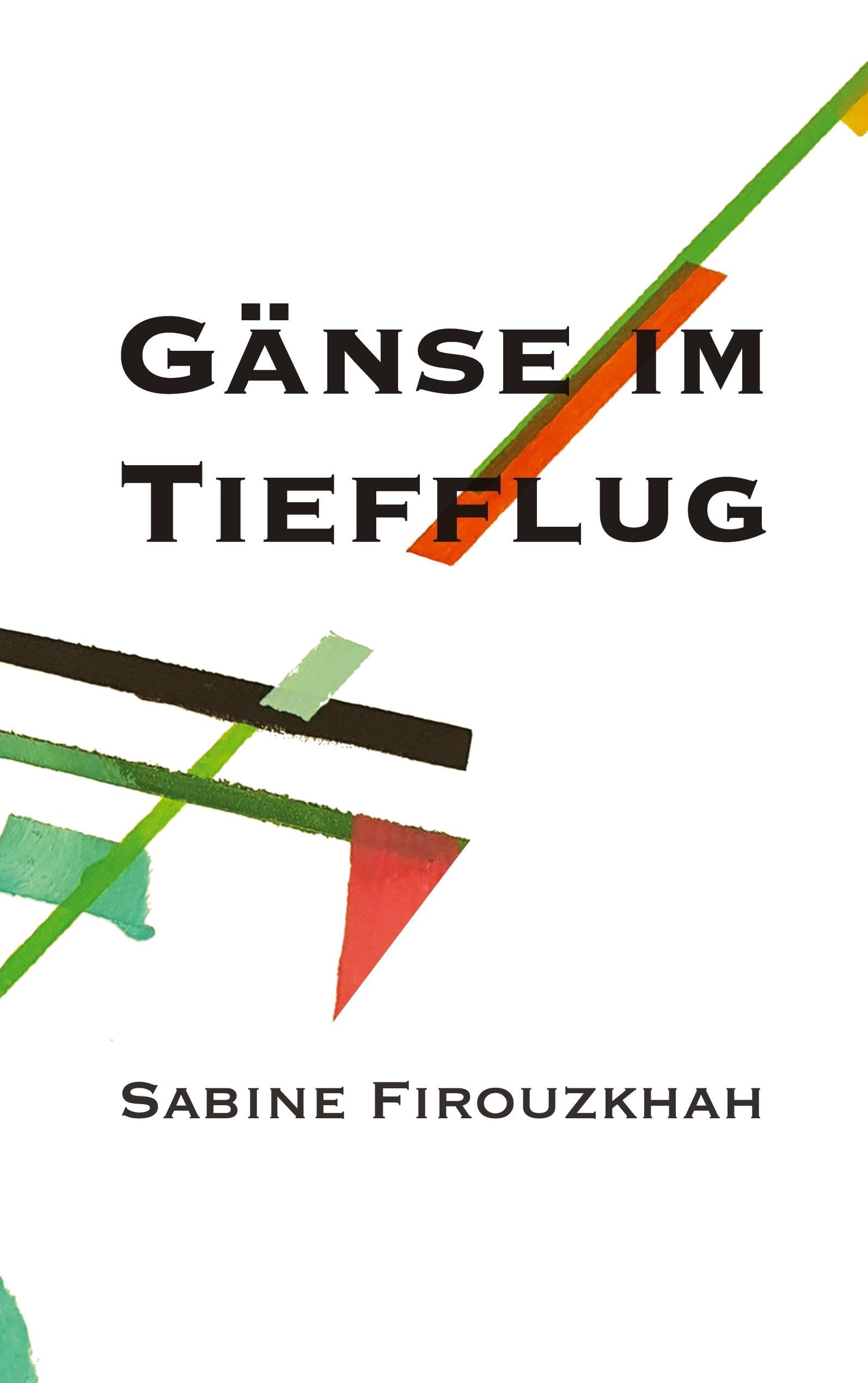 Gänse im Tiefflug: camping leben Essays & Short Stories