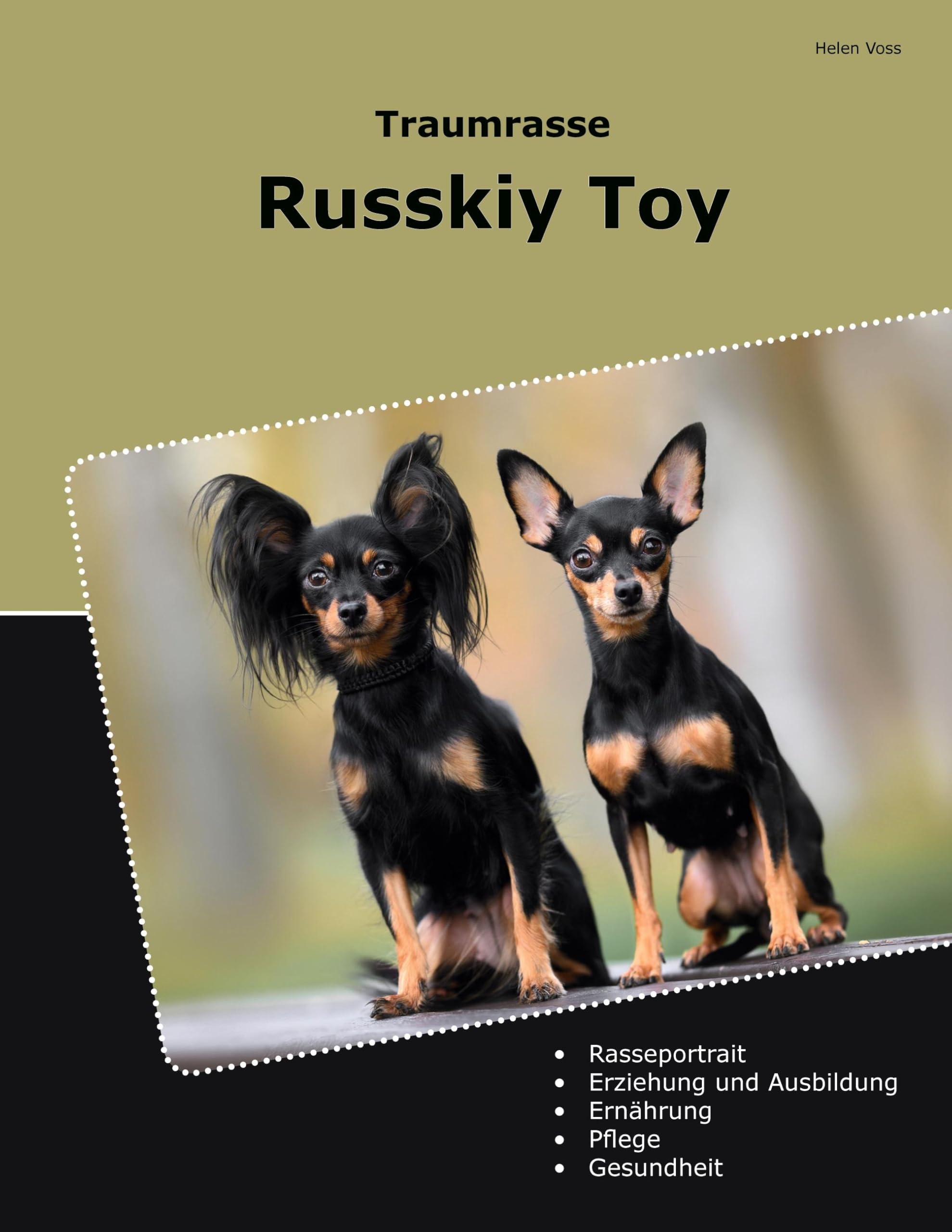 Traumrasse Russkiy Toy Pets