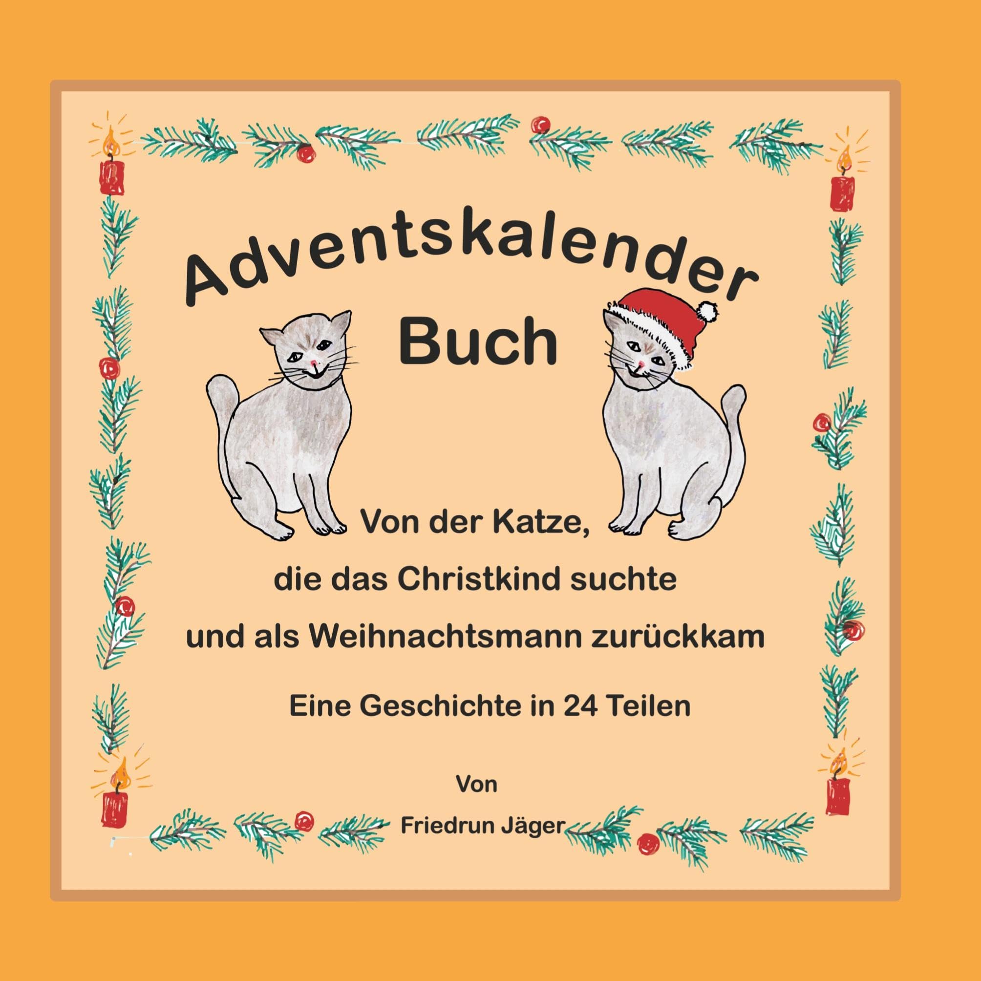 Von der Katze, die das Christkind suchte und als Weihnachtsmann zurückkam Children's books