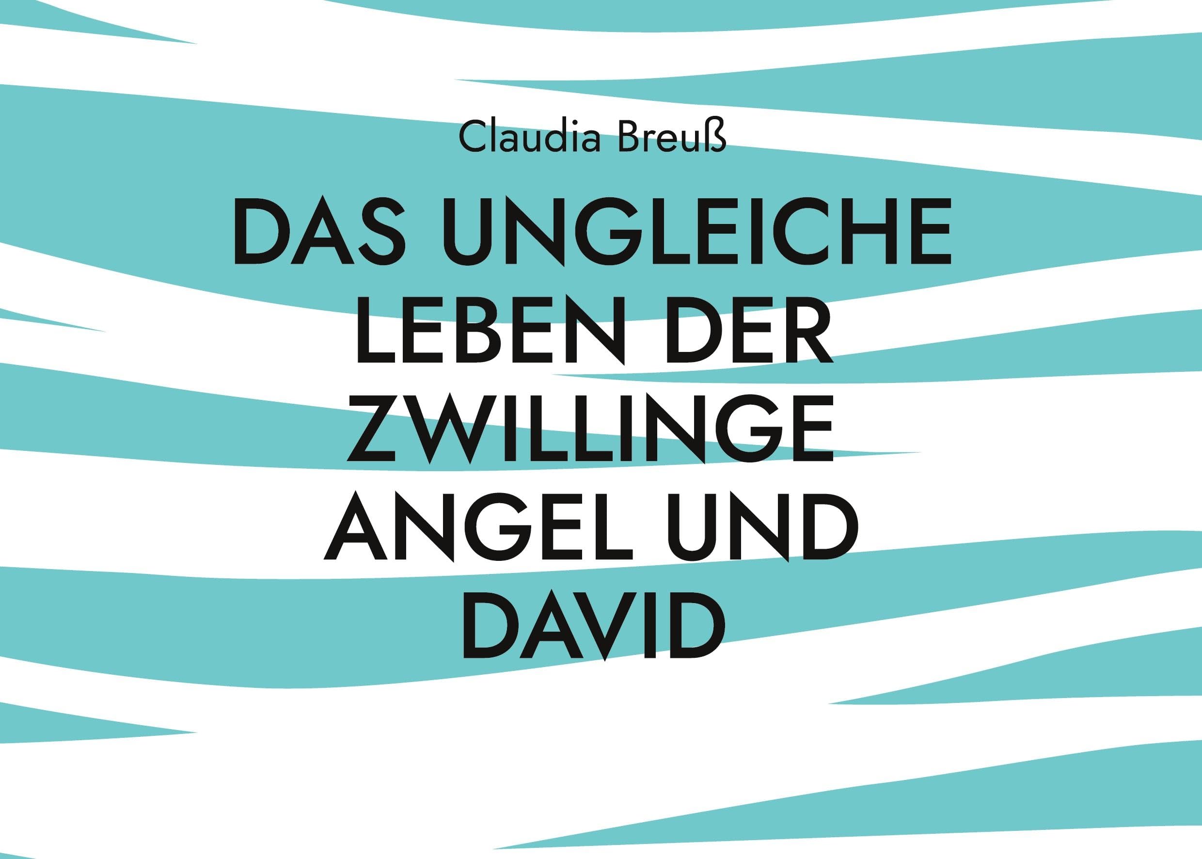 Das ungleiche Leben der Zwillinge Angel und David: Teil 1 (Das Leben der ungleichen Zwillinge Angel und David) Leisure & Fun