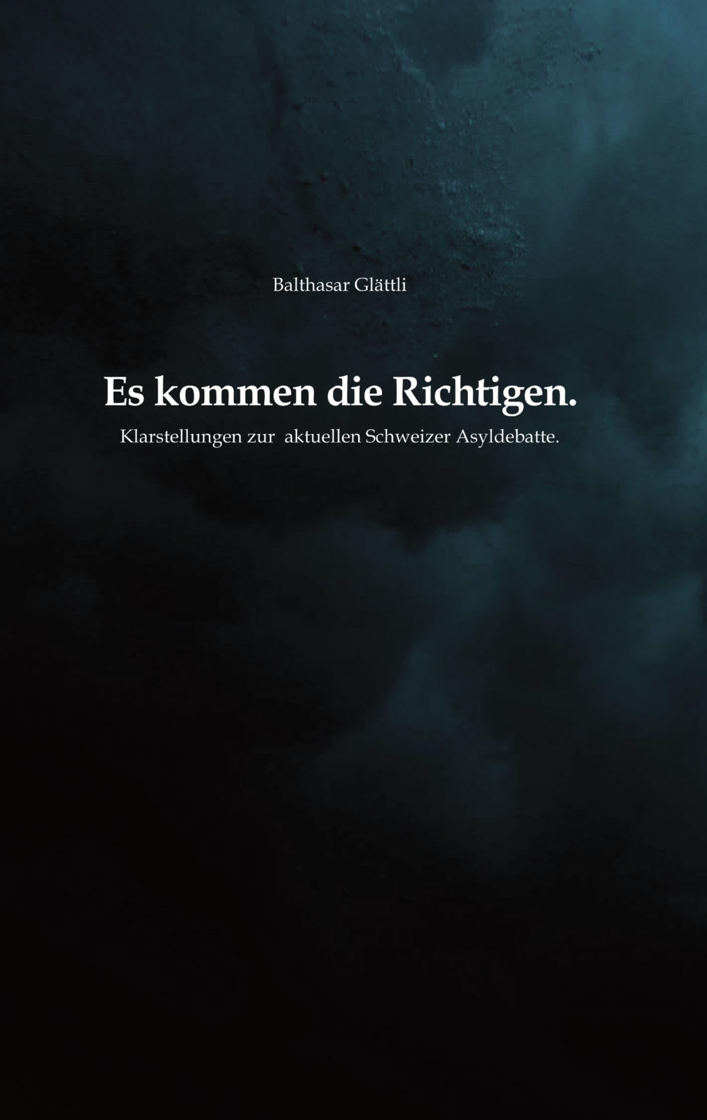 Es kommen die Richtigen.: Klarstellungen zur aktuellen Schweizer Asyldebatte Law