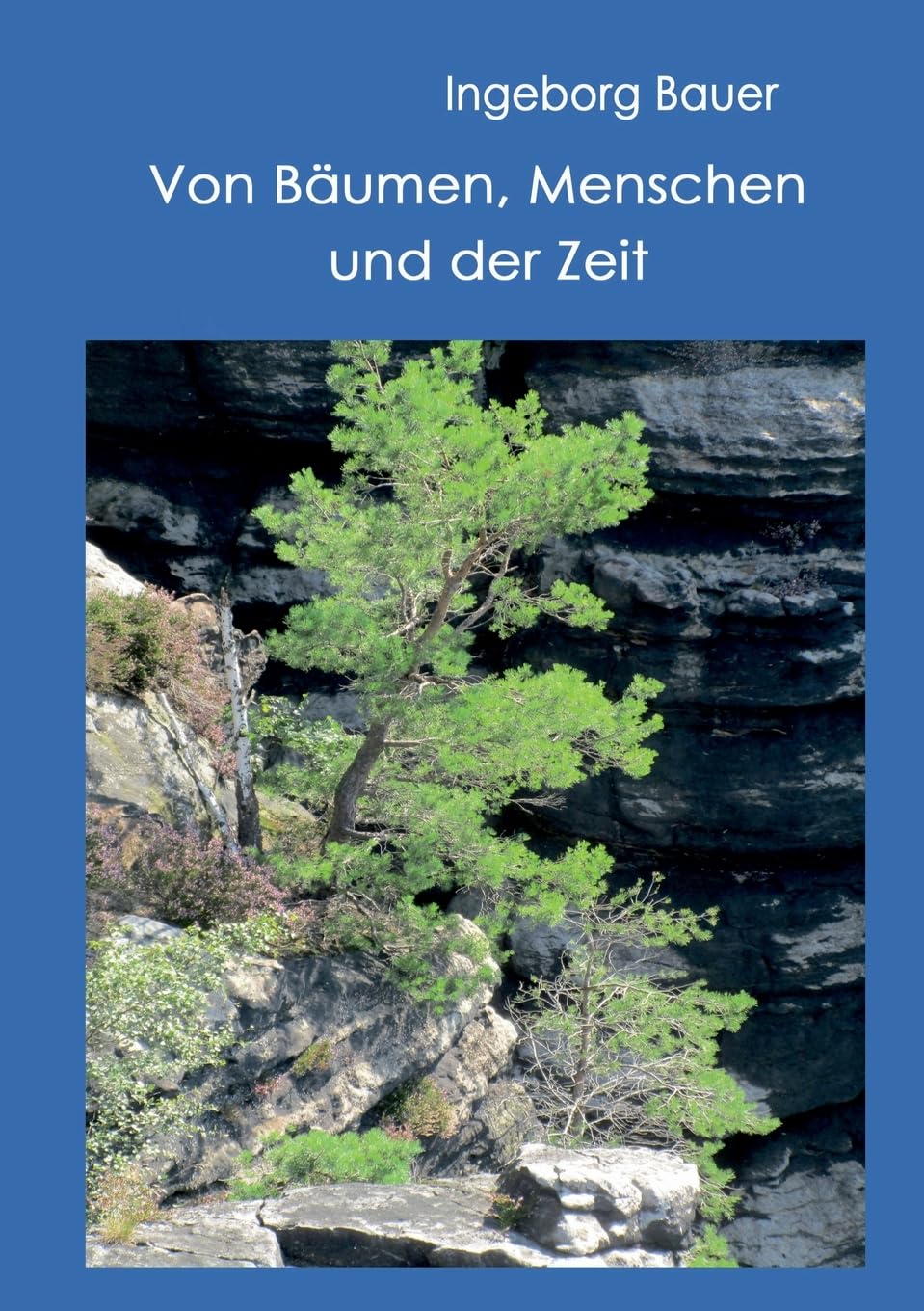 Von Bäumen, Menschen und der Zeit: Essays und Lyrik Film, Art & Culture