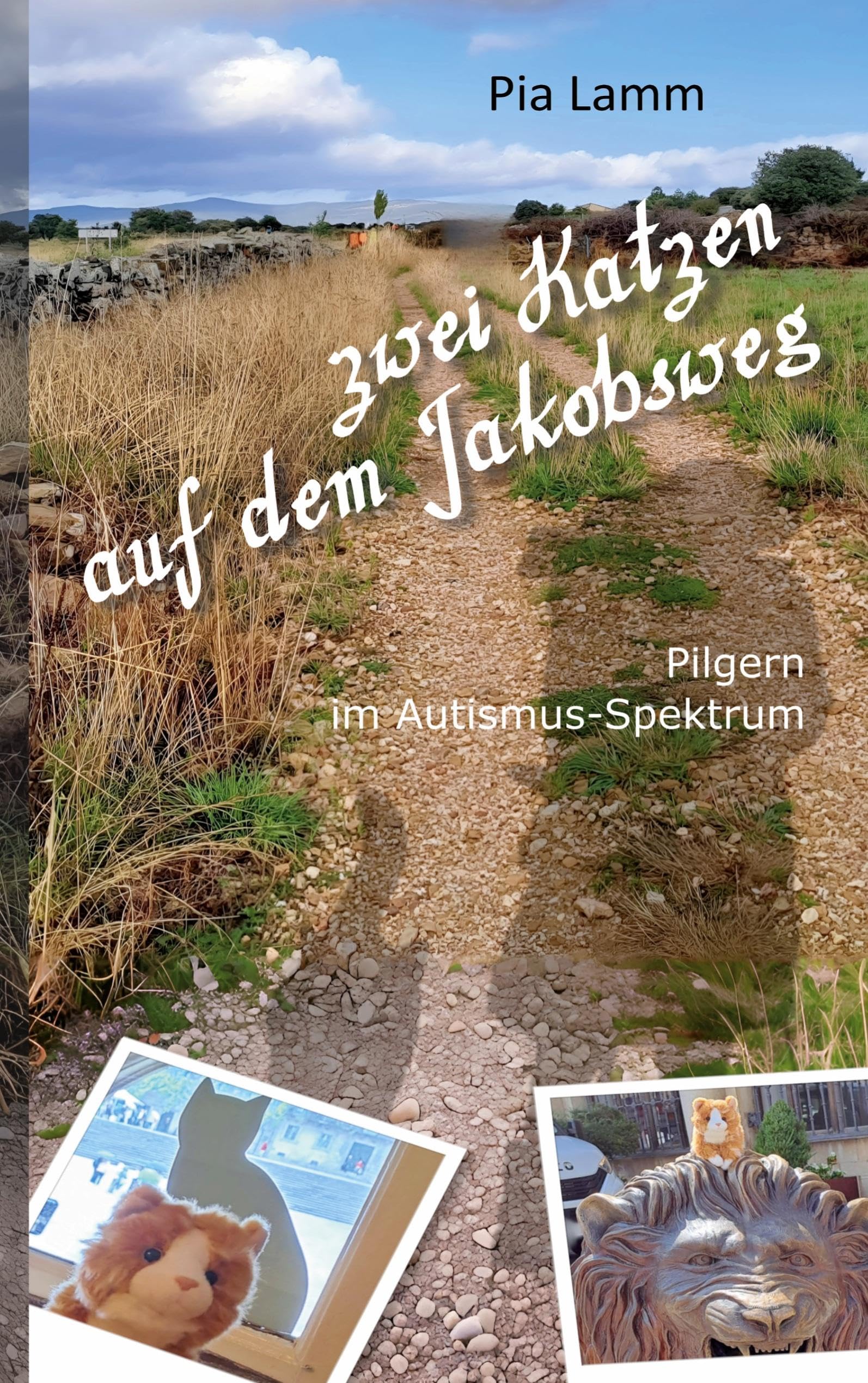 Zwei Katzen auf dem Jakobsweg Religion & Esotericism
