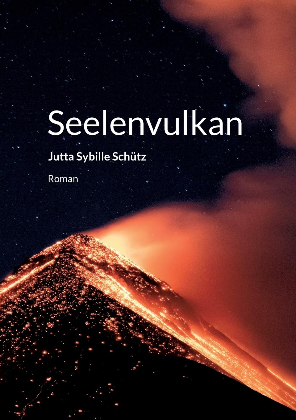 Seelenvulkan Contemporary literature Books