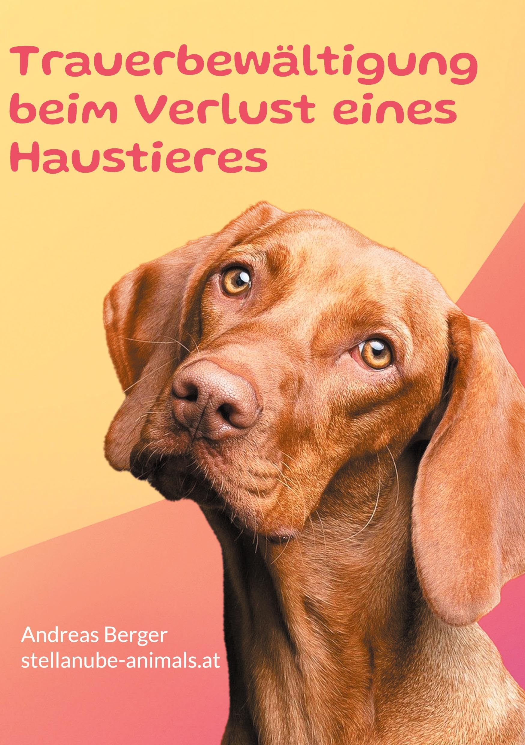 Trauerbewältigung beim Verlust eines Haustieres: Ein Ratgeber für betroffene Lifestyle