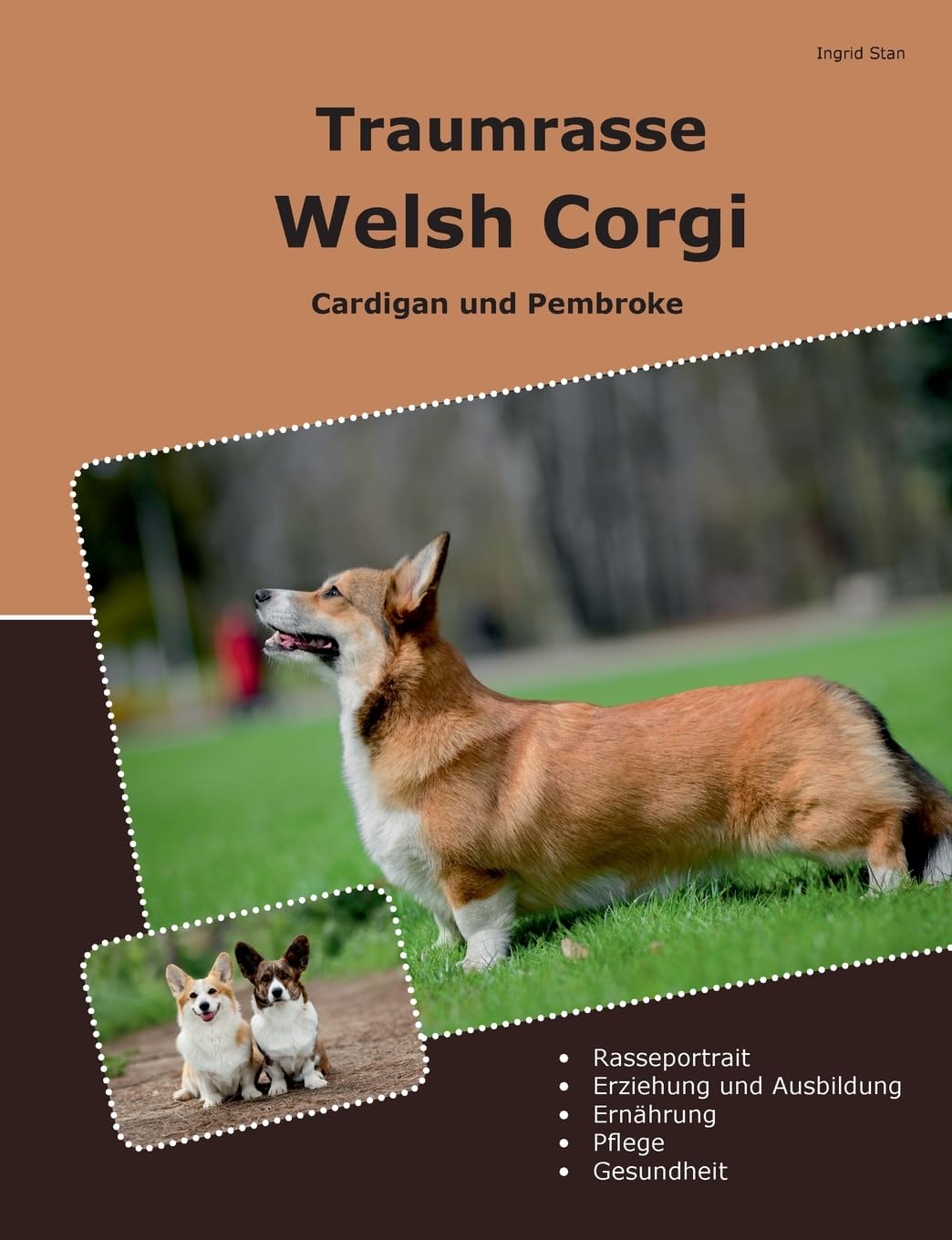 Traumrasse Welsh Corgi Books about Pets