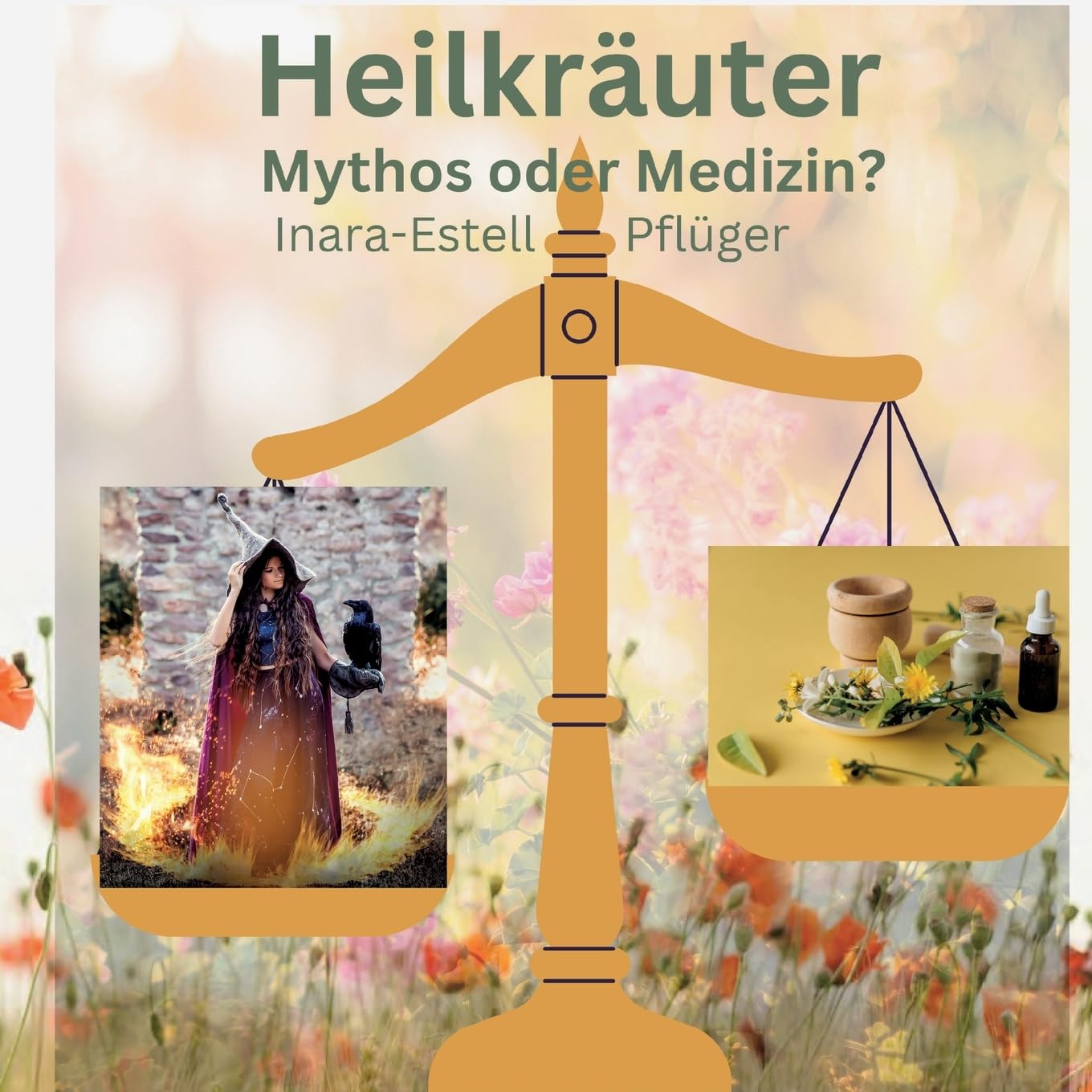 Heilkräuter - Mythos oder Medizin? Medicine Books