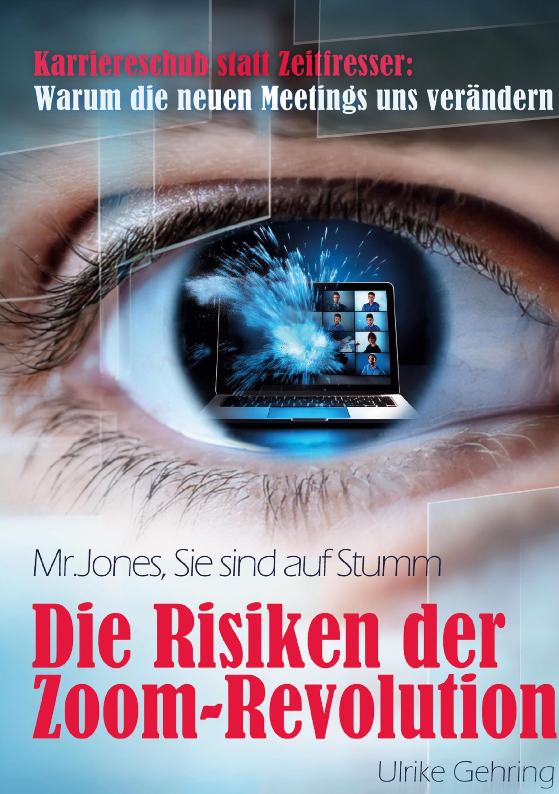 Product Image: Die Risiken der Zoom-Revolution