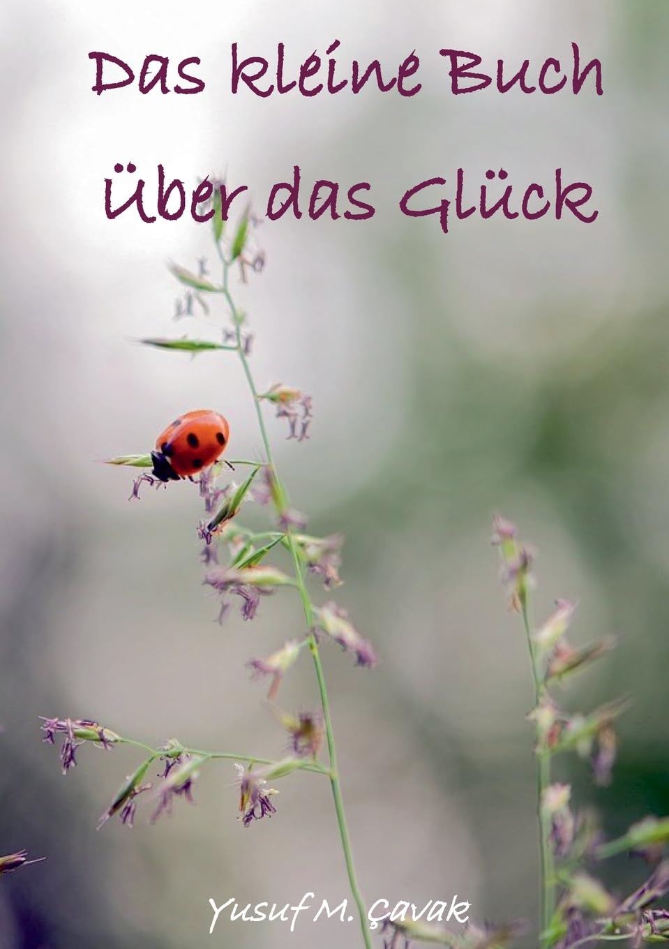 Das kleine Buch über das Glück Lifestyle