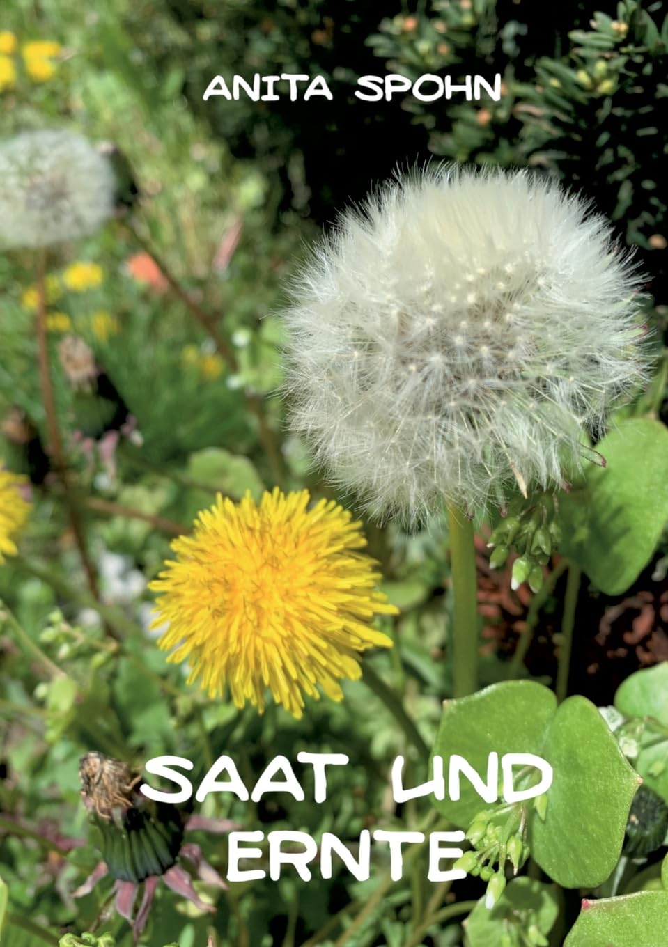 Saat und Ernte: Ich konnte weiterleben ... und was dann geschah Religion & Esotericism
