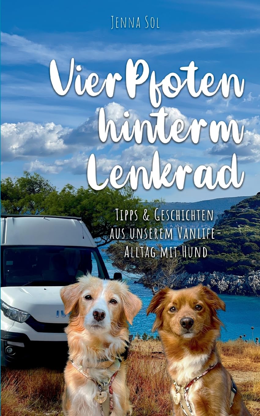 Product Image: Vier Pfoten hinterm Lenkrad