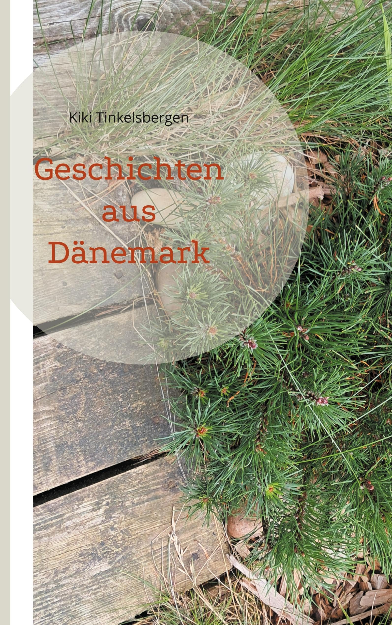 Geschichten aus Dänemark Contemporary literature