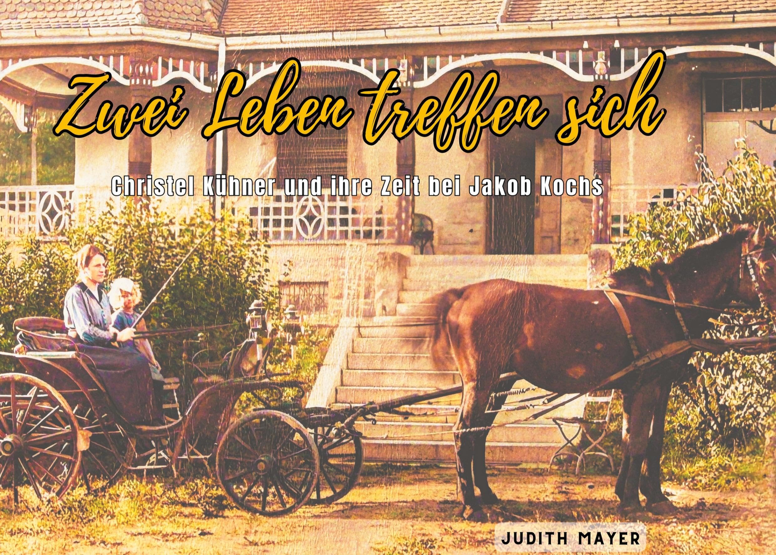 Product Image: Zwei Leben treffen sich