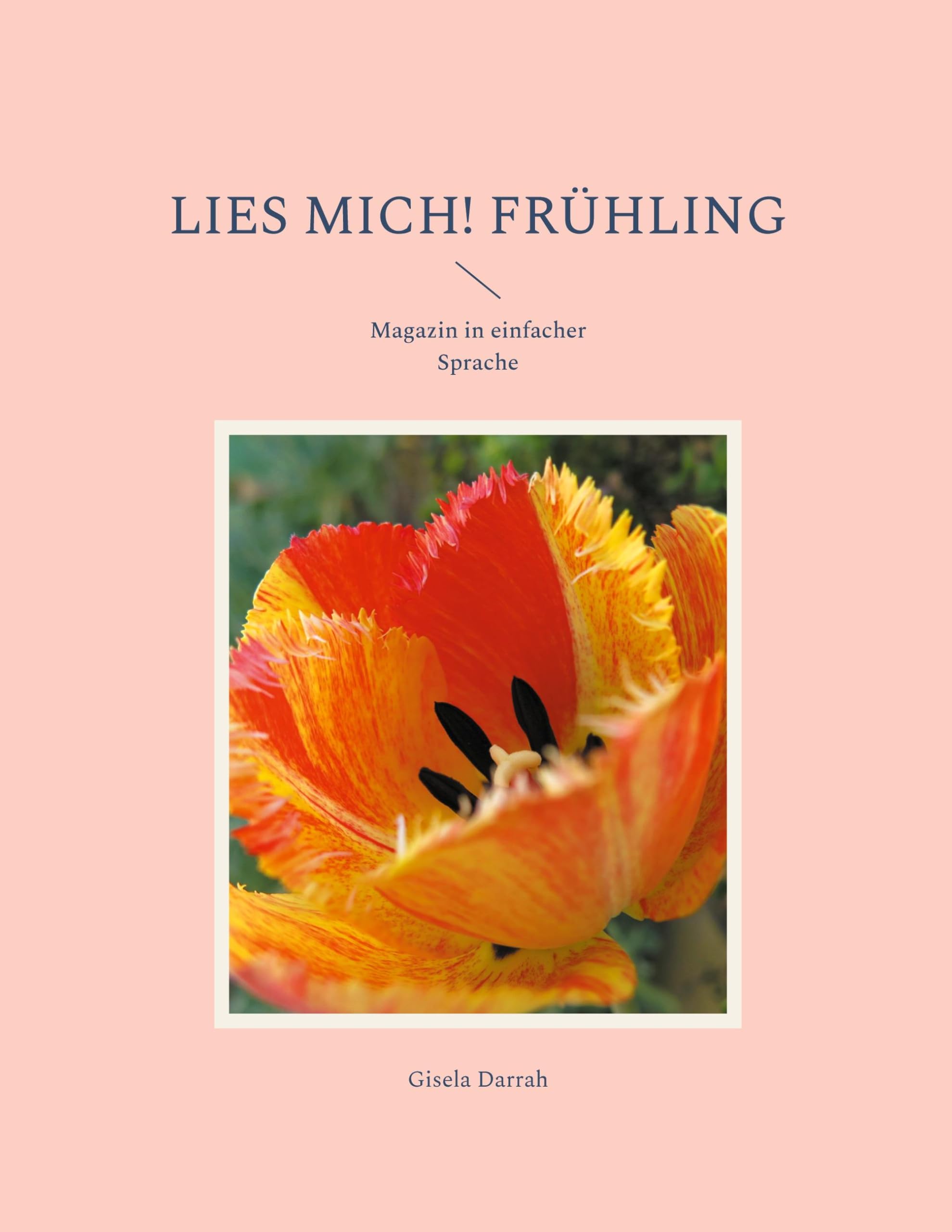 Lies mich! Frühling: Magazin in einfacher Sprache (Lies mich! Magazin in einfacher Sprache) Foreign Languages ​​& Dictionaries