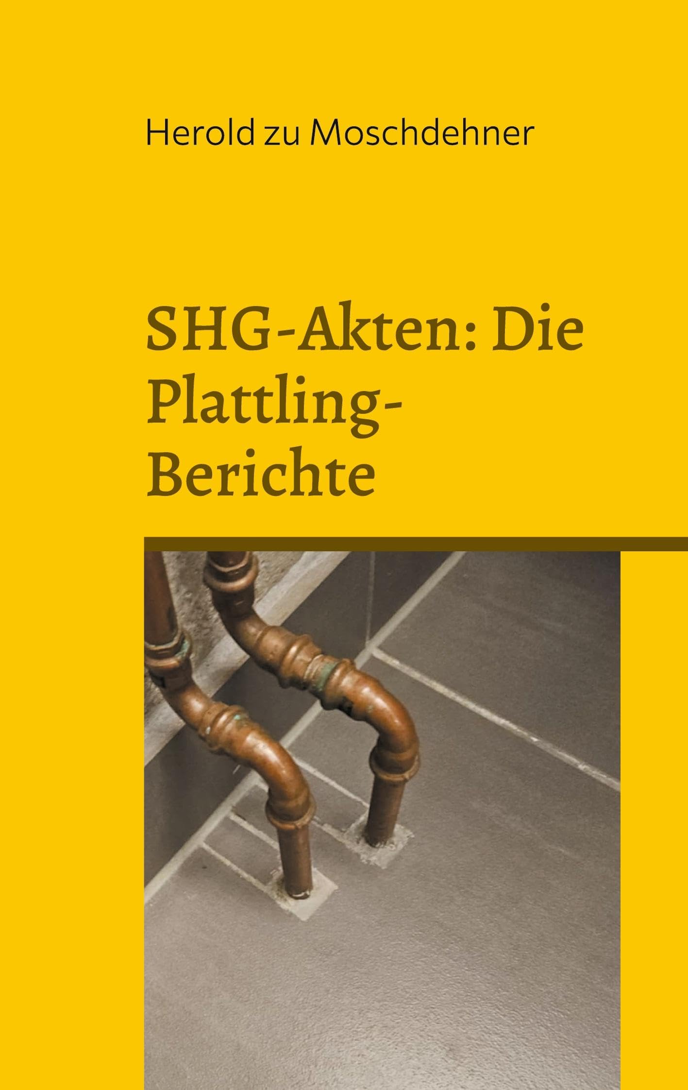 SHG-Akten: Die Plattling-Berichte Religion & Esotericism