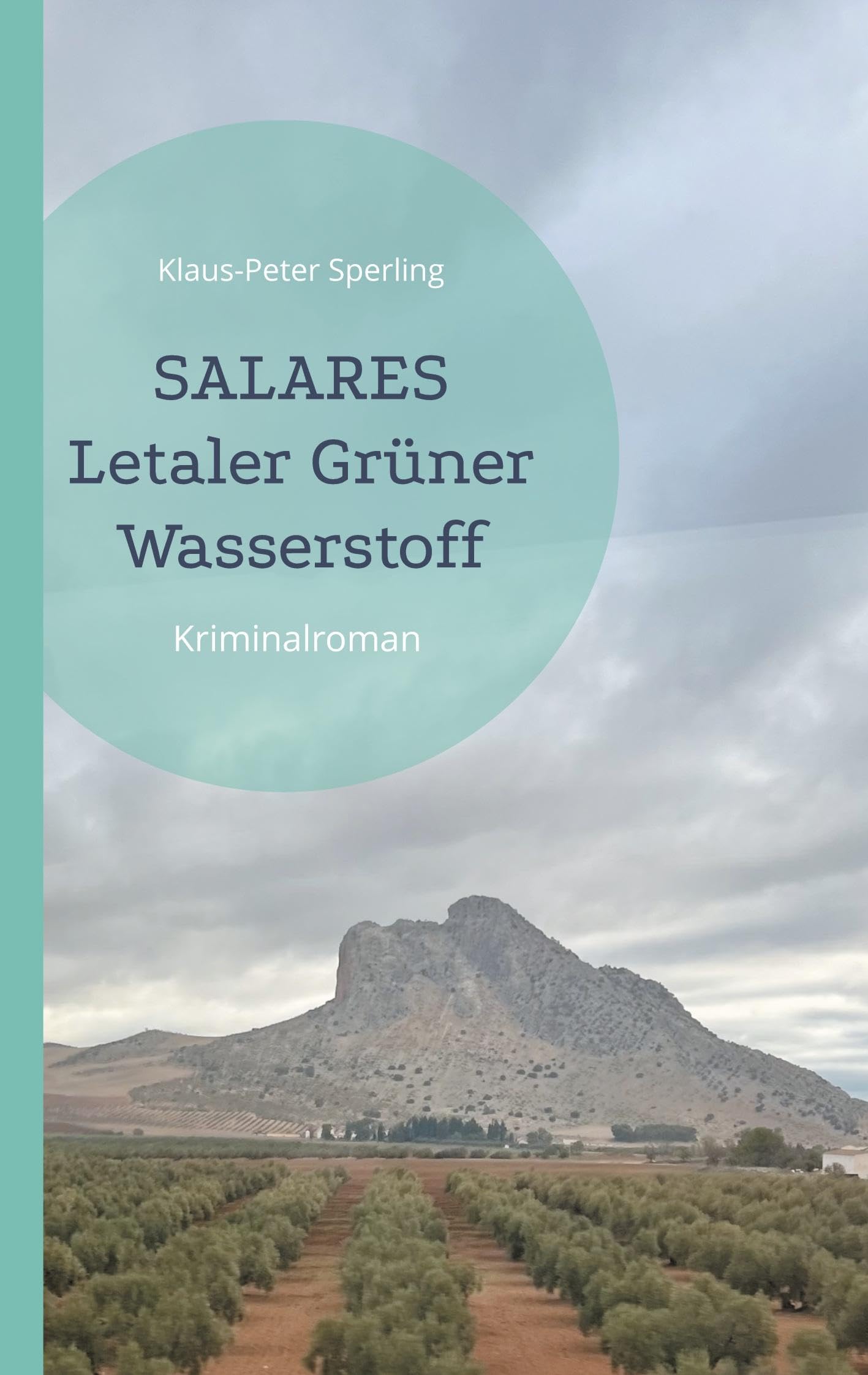 Salares Letaler Grüner Wasserstoff Contemporary literature